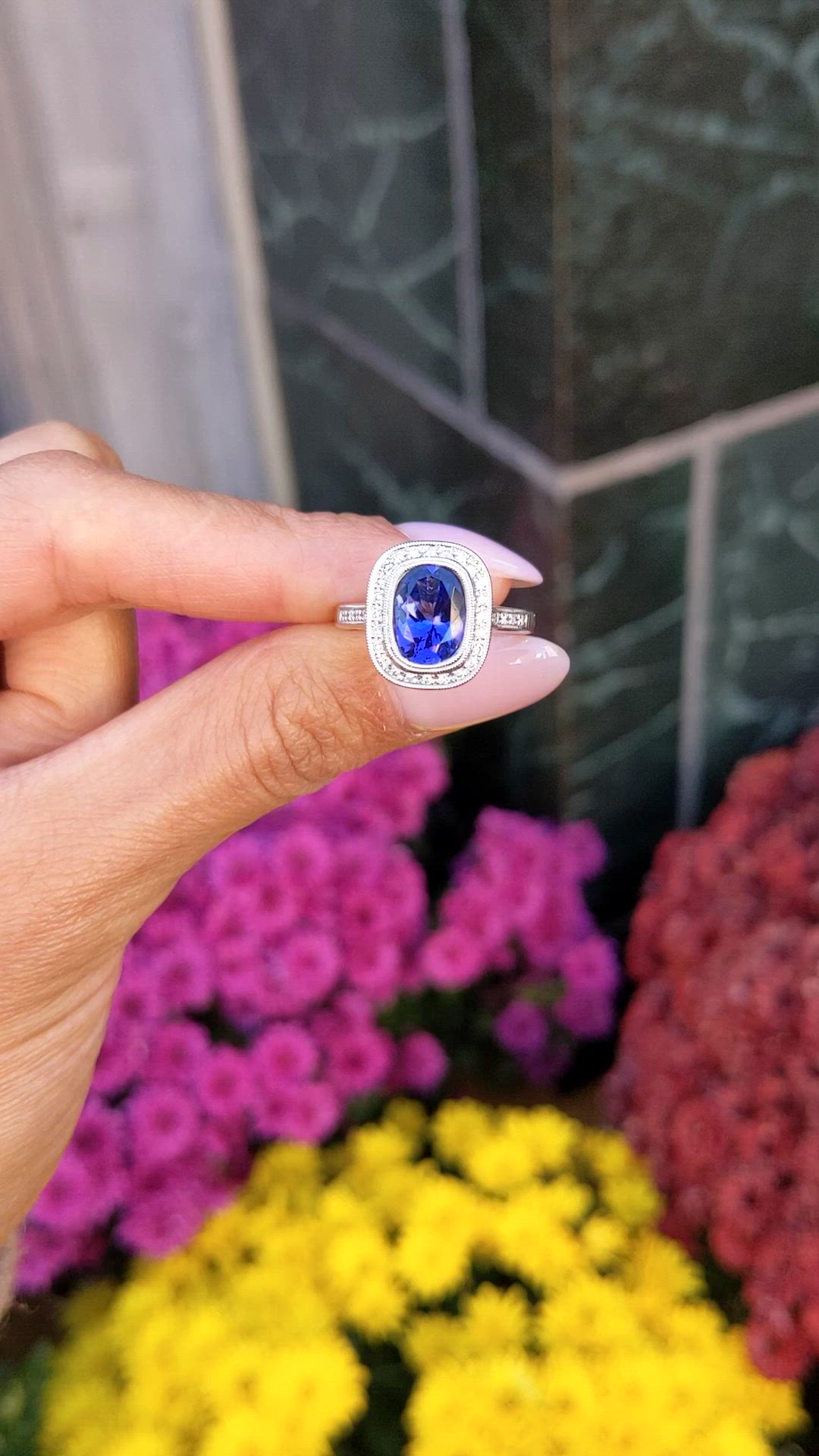 2.53 Ct. Violet Tanzanite and Natural Diamond Pave Ring, 14K White Gold Size Video