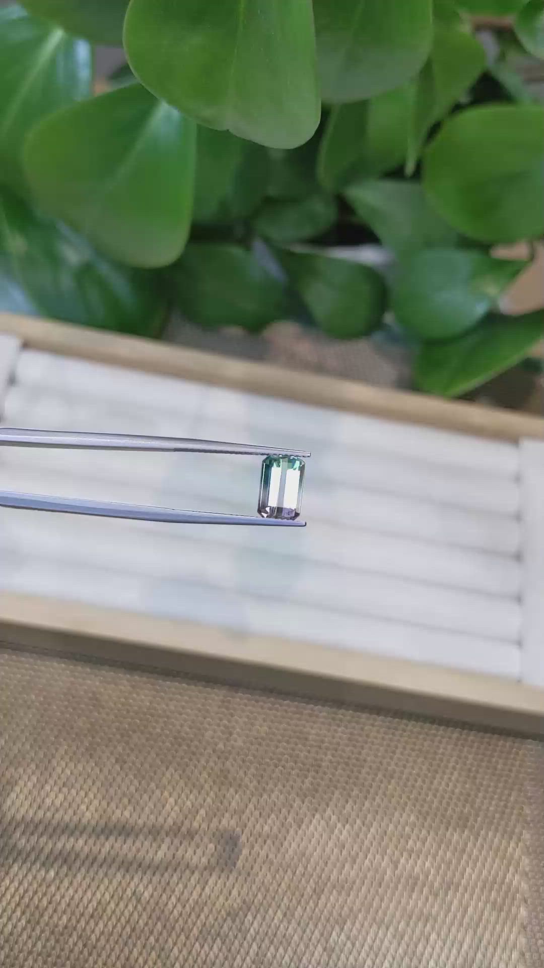 2.70 Ct. Tourmaline from Brazil Size Video