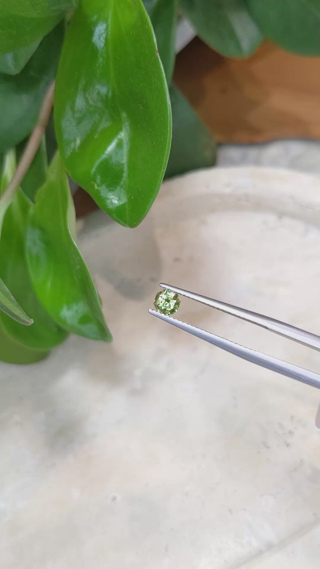 0.52 Ct. Demantoid Garnet from Namibia Size Video