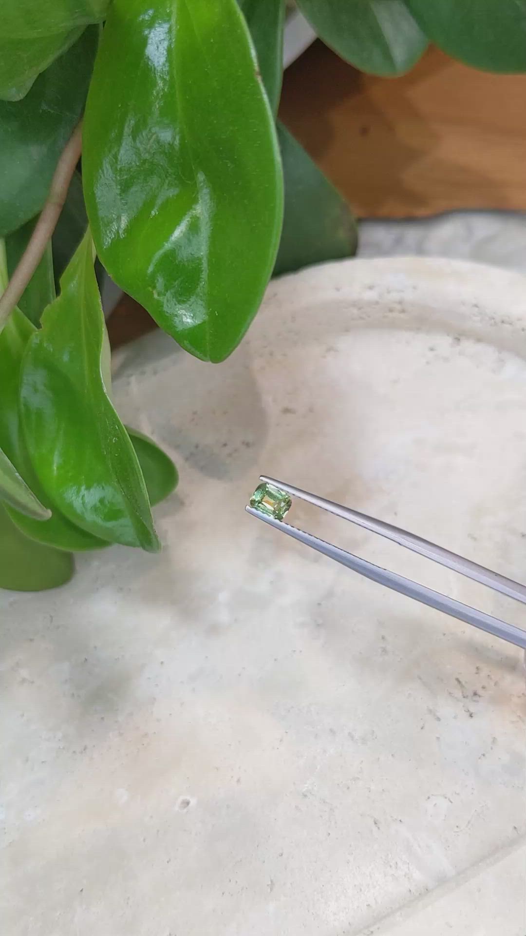 0.41 Ct. Demantoid Garnet from Namibia Size Video