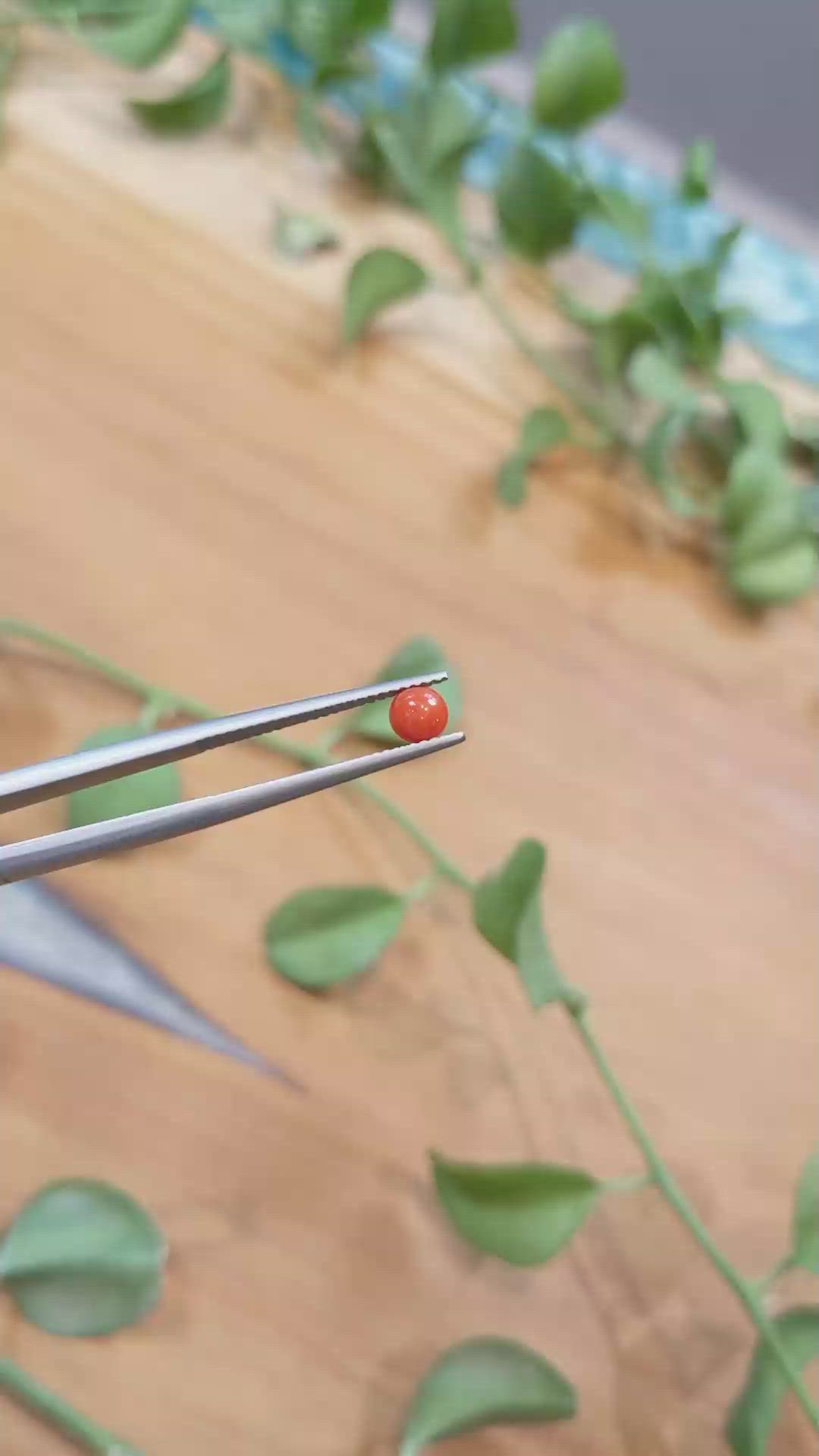 0.45 Ct. Cabochon Coral from Italy Size Video