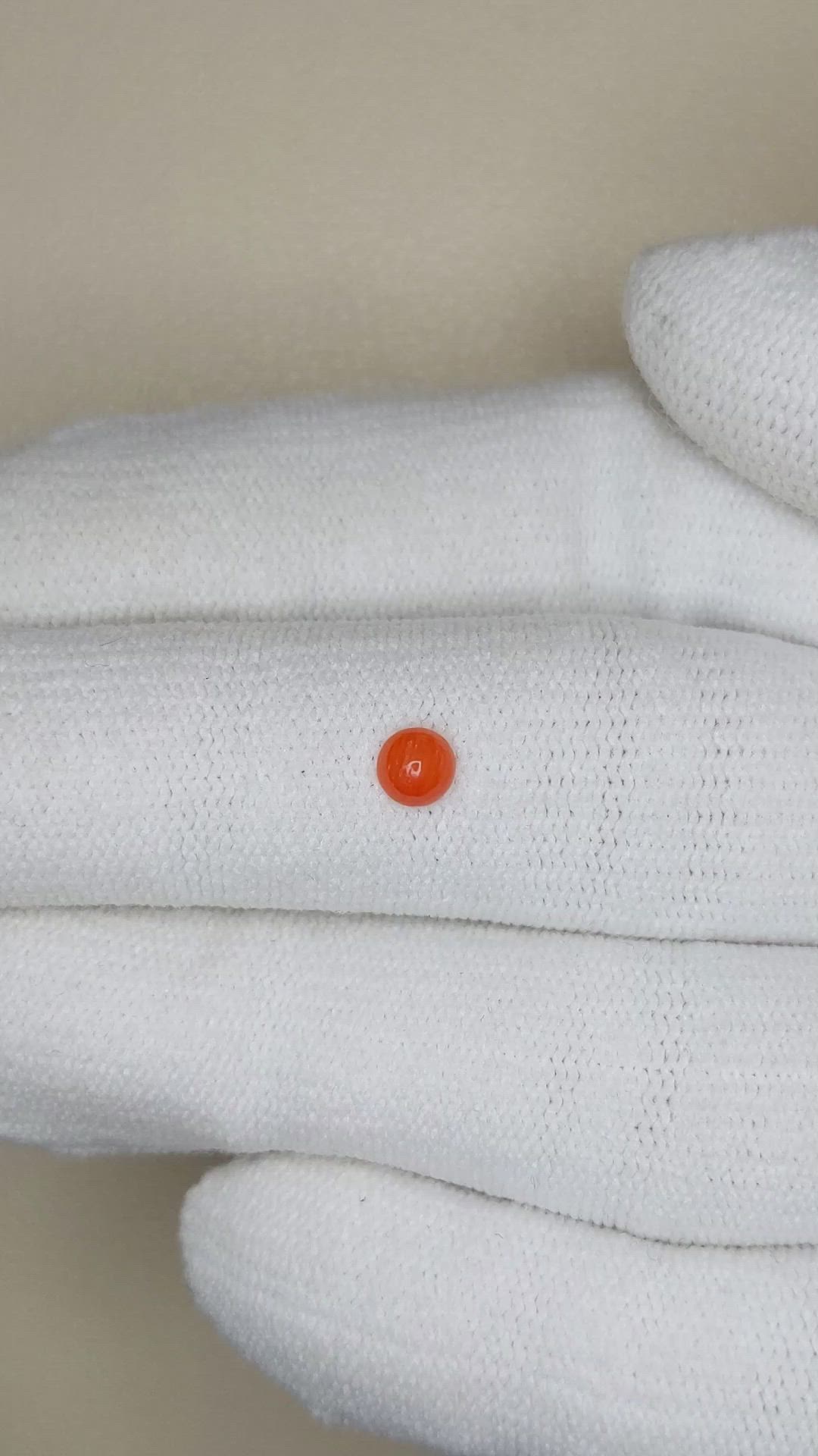 0.19 Ct. Cabochon Coral from Italy Size Video