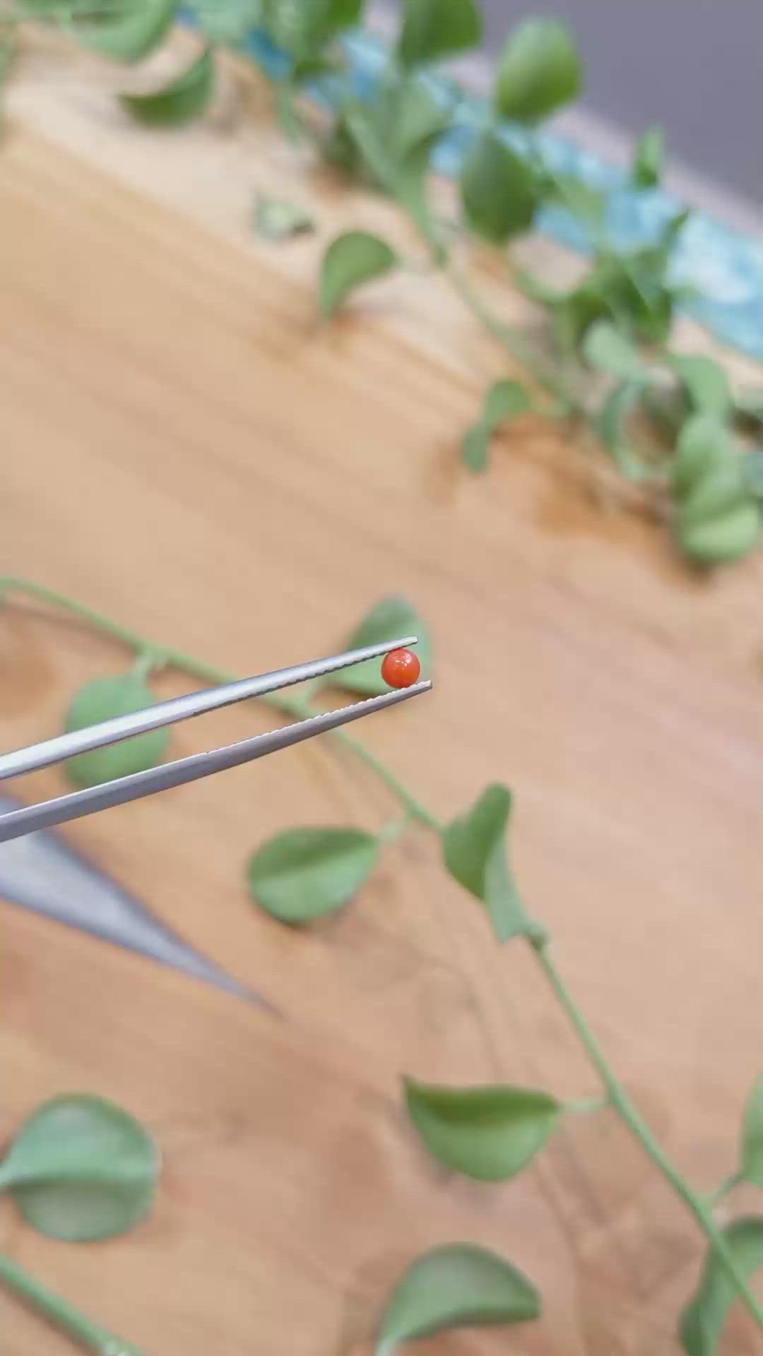 0.16 Ct. Cabochon Coral from Italy Size Video