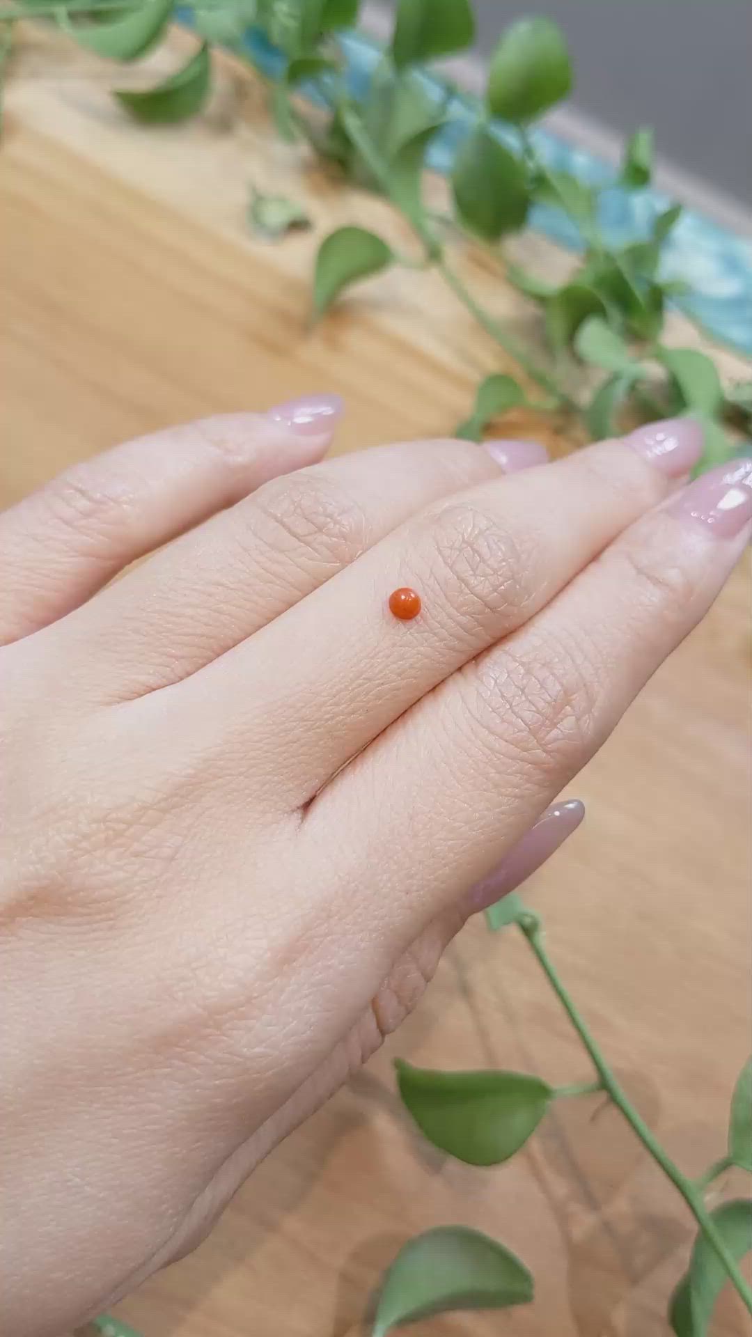 0.16 Ct. Cabochon Coral from Italy Size Video