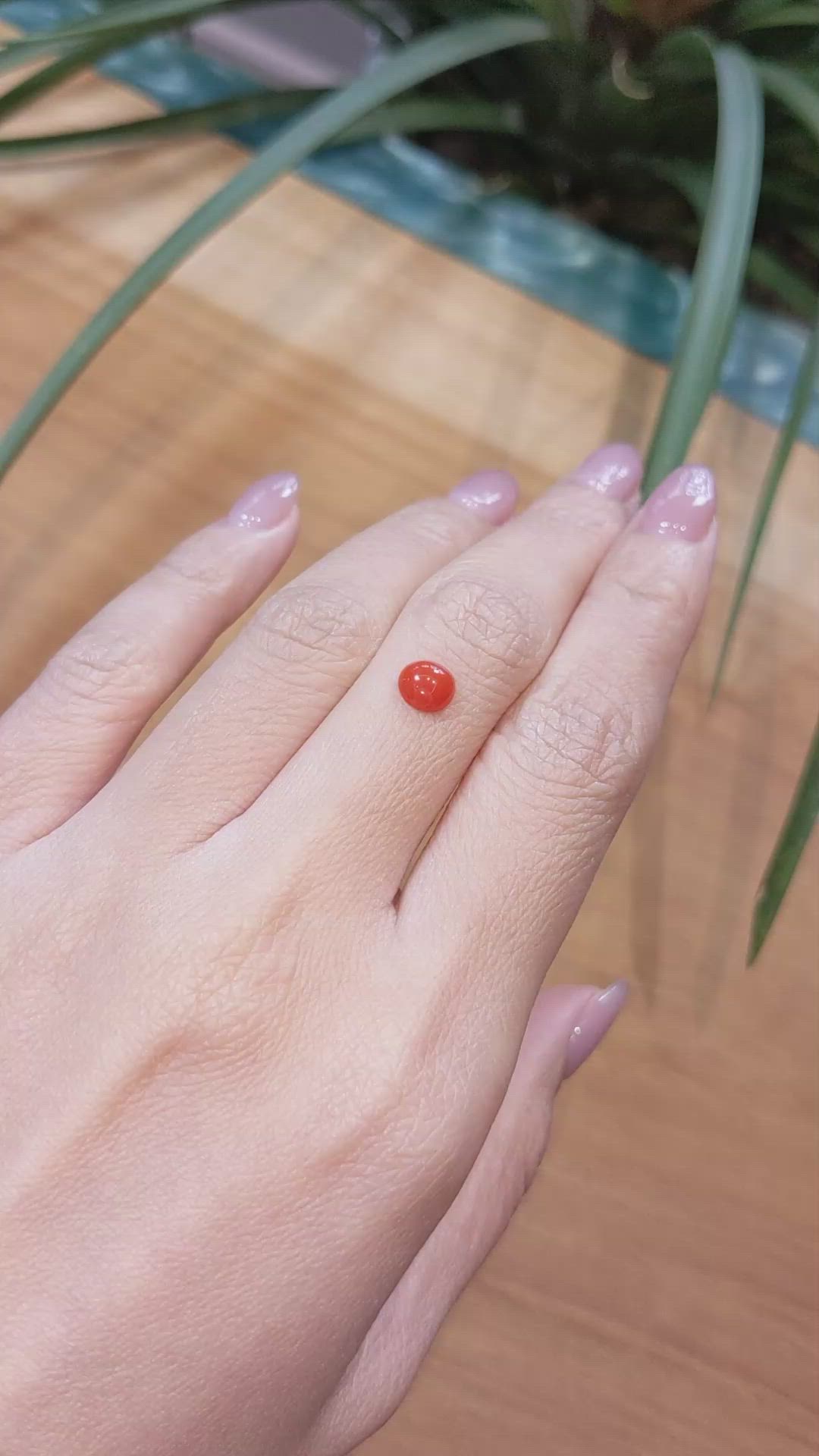 0.67 Ct. Cabochon Coral from Italy Size Video