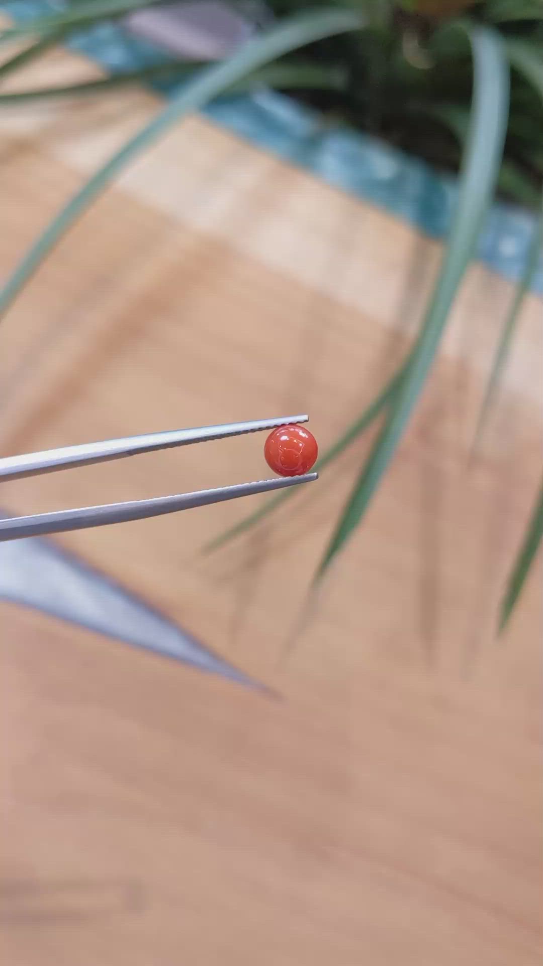 0.62 Ct. Cabochon Coral from Italy Size Video