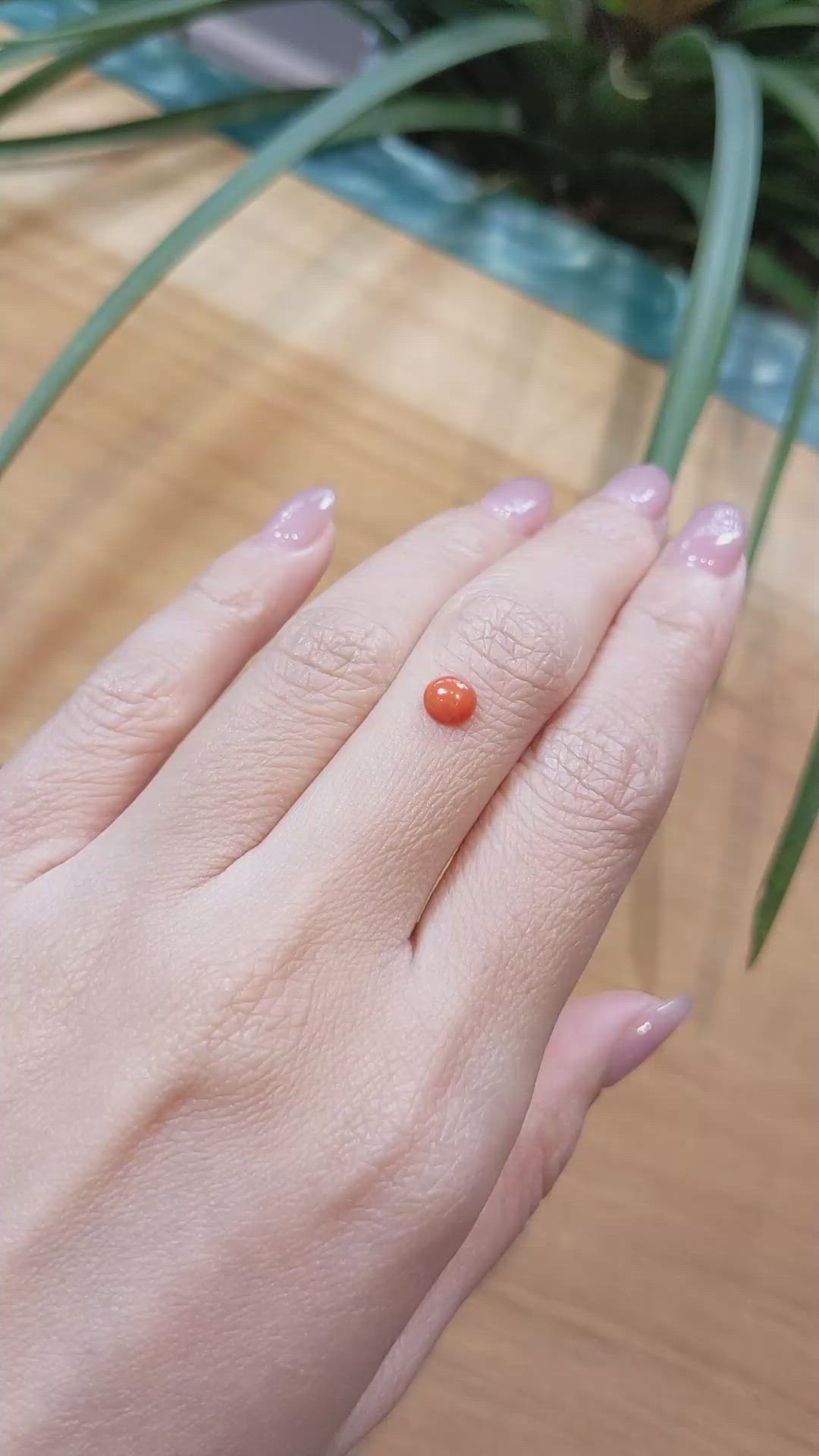 0.51 Ct. Cabochon Coral from Italy Size Video