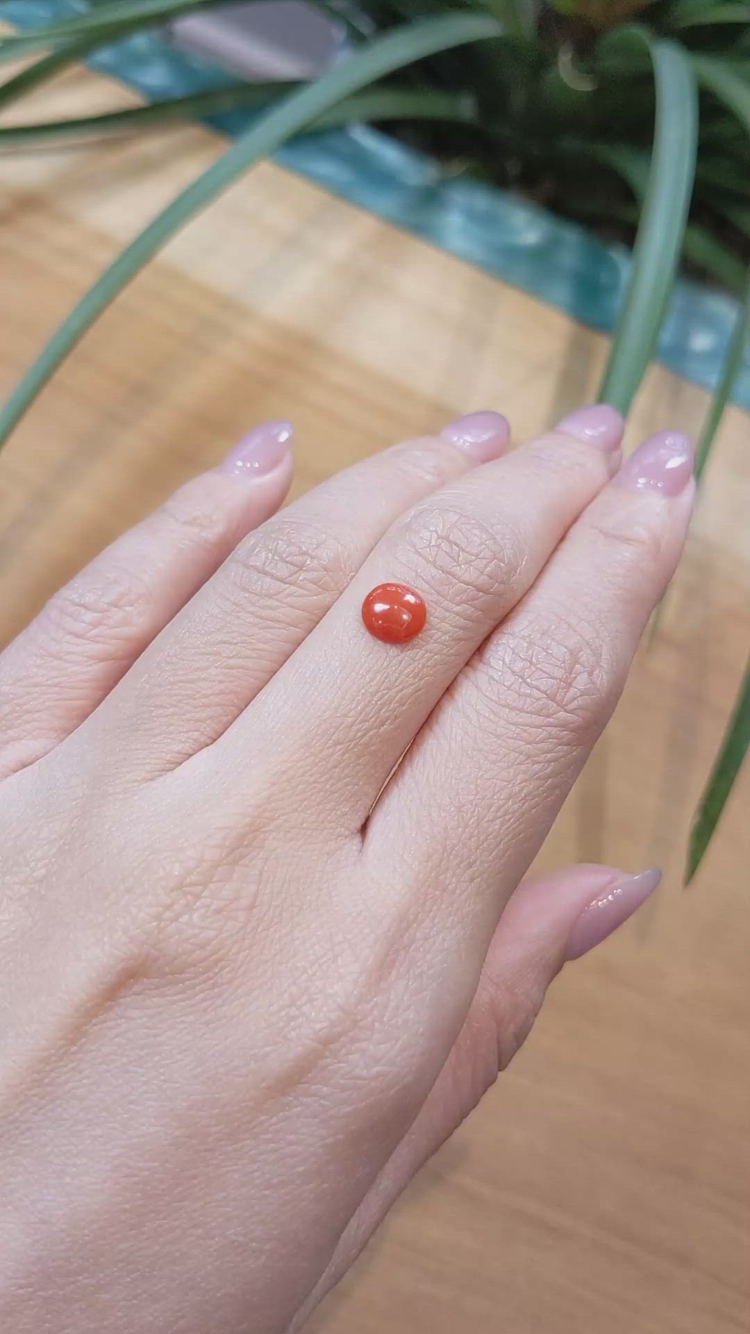 0.68 Ct. Cabochon Coral from Italy Size Video