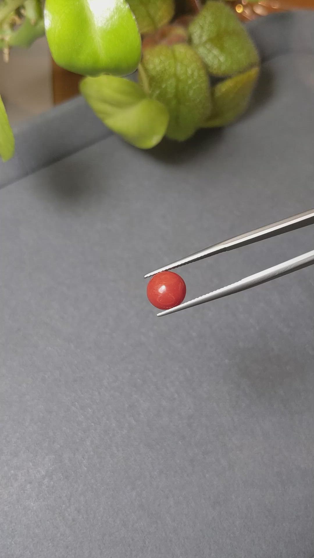 2.17 Ct. Cabochon Coral from Italy Size Video