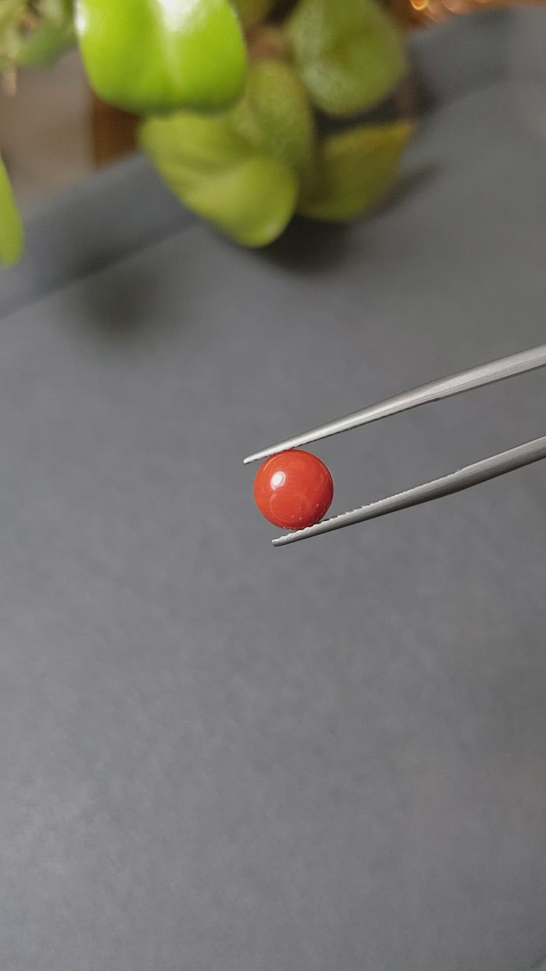 1.38 Ct. Cabochon Coral from Italy Size Video