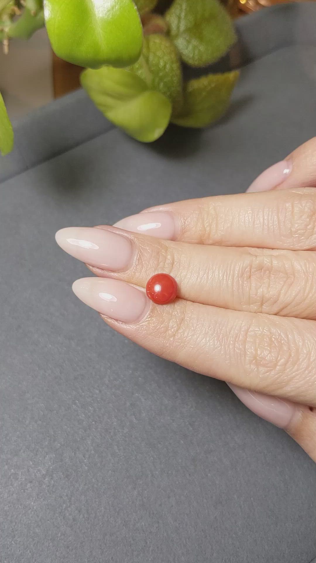 1.38 Ct. Cabochon Coral from Italy Size Video