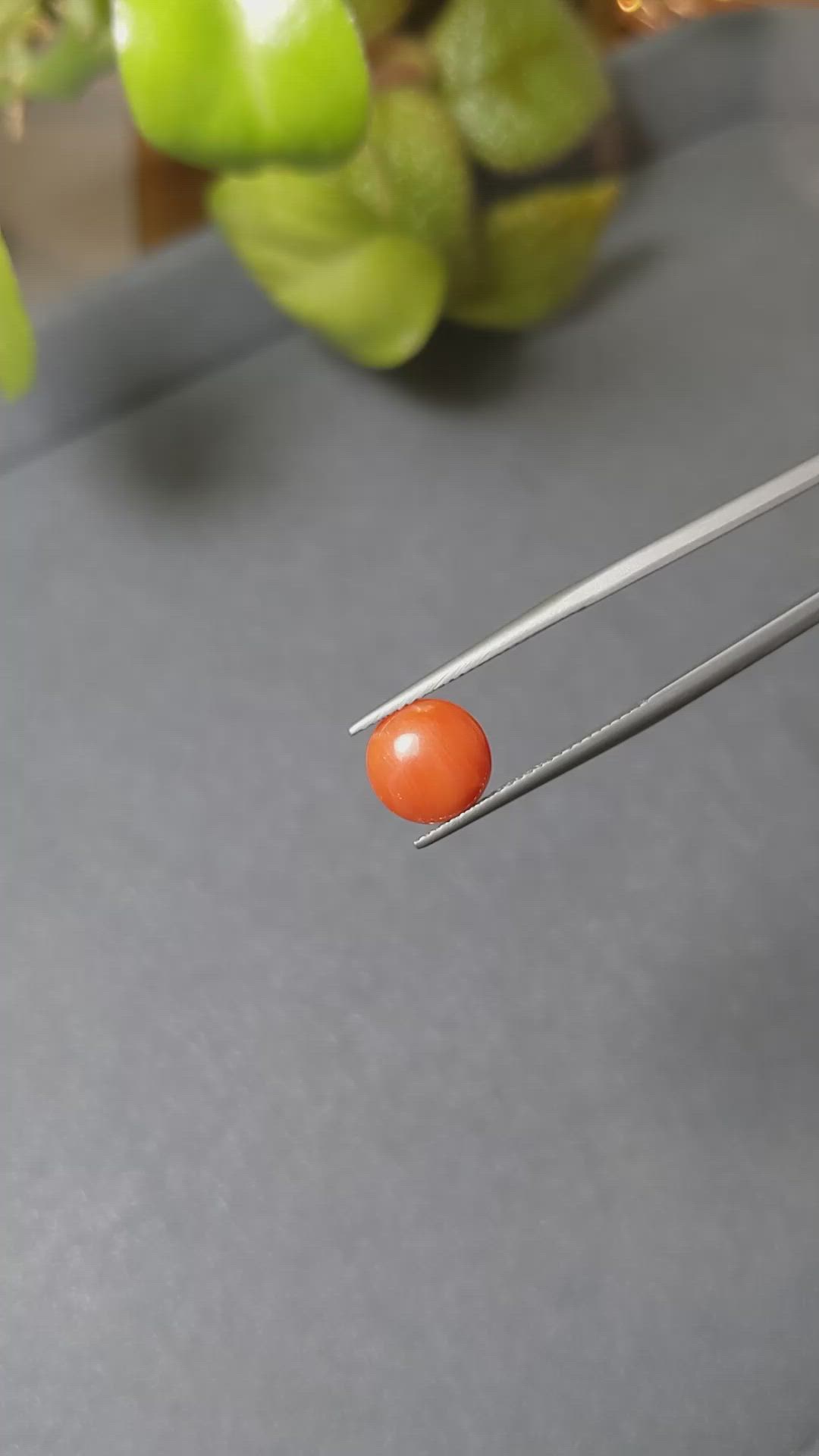 1.70 Ct. Cabochon Coral from Italy Size Video