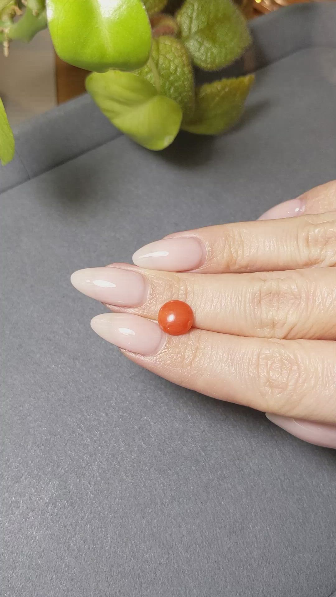 1.70 Ct. Cabochon Coral from Italy Size Video