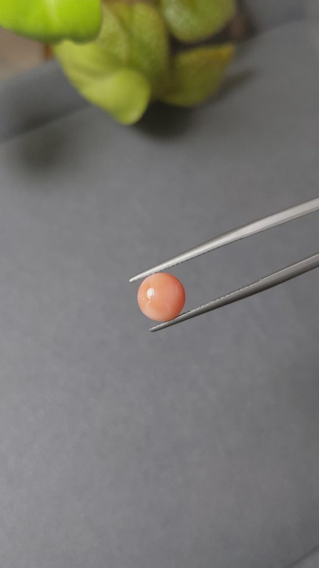 1.74 Ct. Cabochon Coral from Italy Size Video