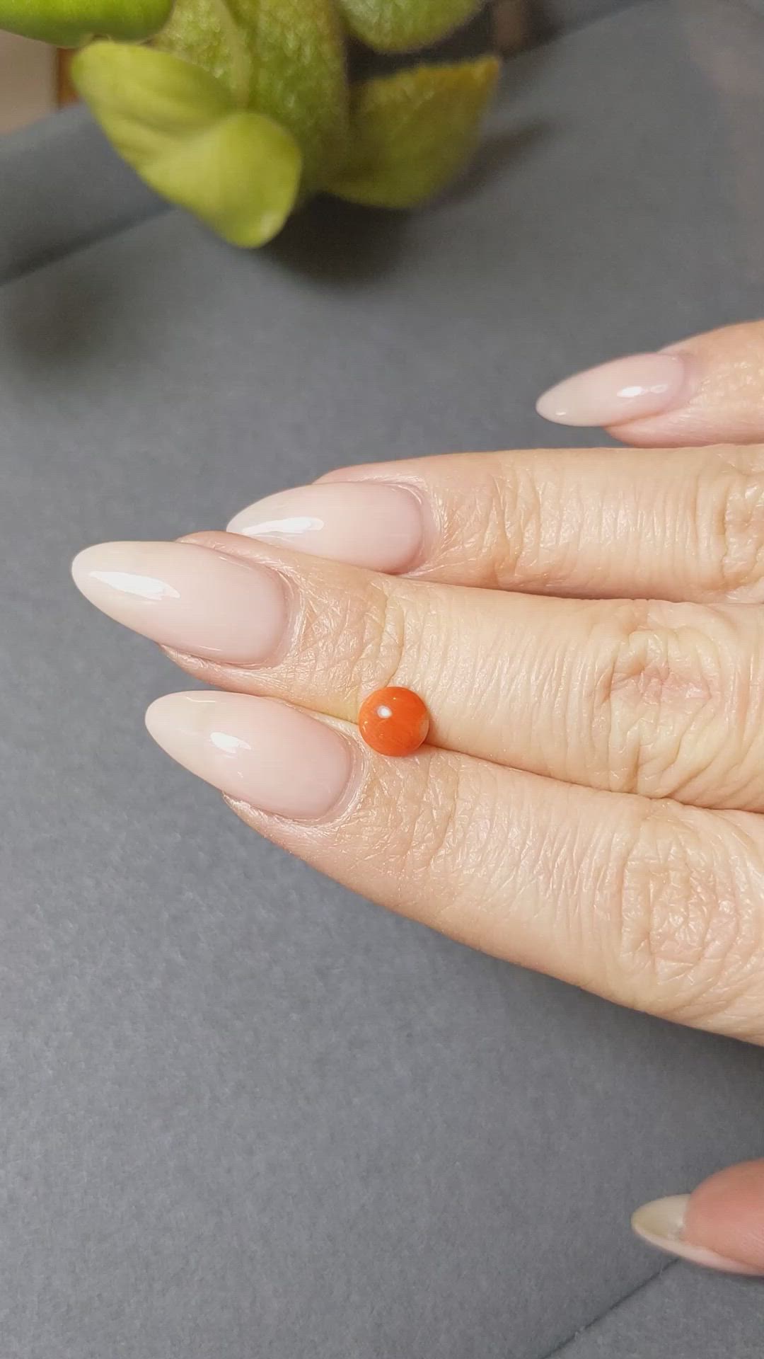 0.51 Ct. Cabochon Coral from Italy Size Video