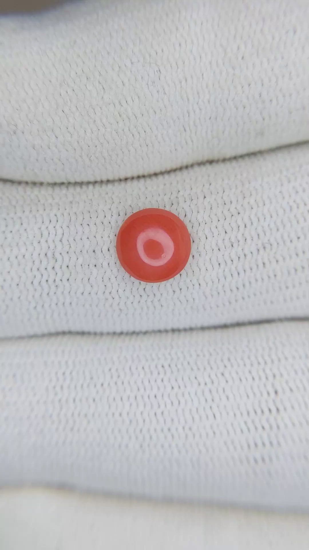 0.84 Ct. Cabochon Coral from Italy Size Video