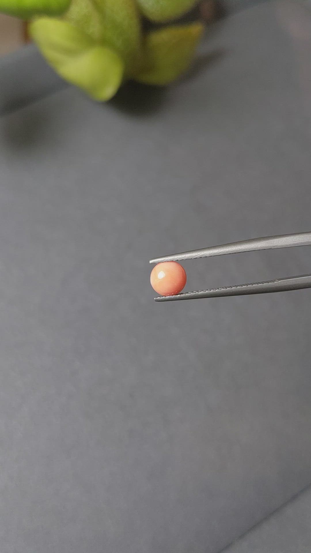 0.53 Ct. Cabochon Coral from Italy Size Video