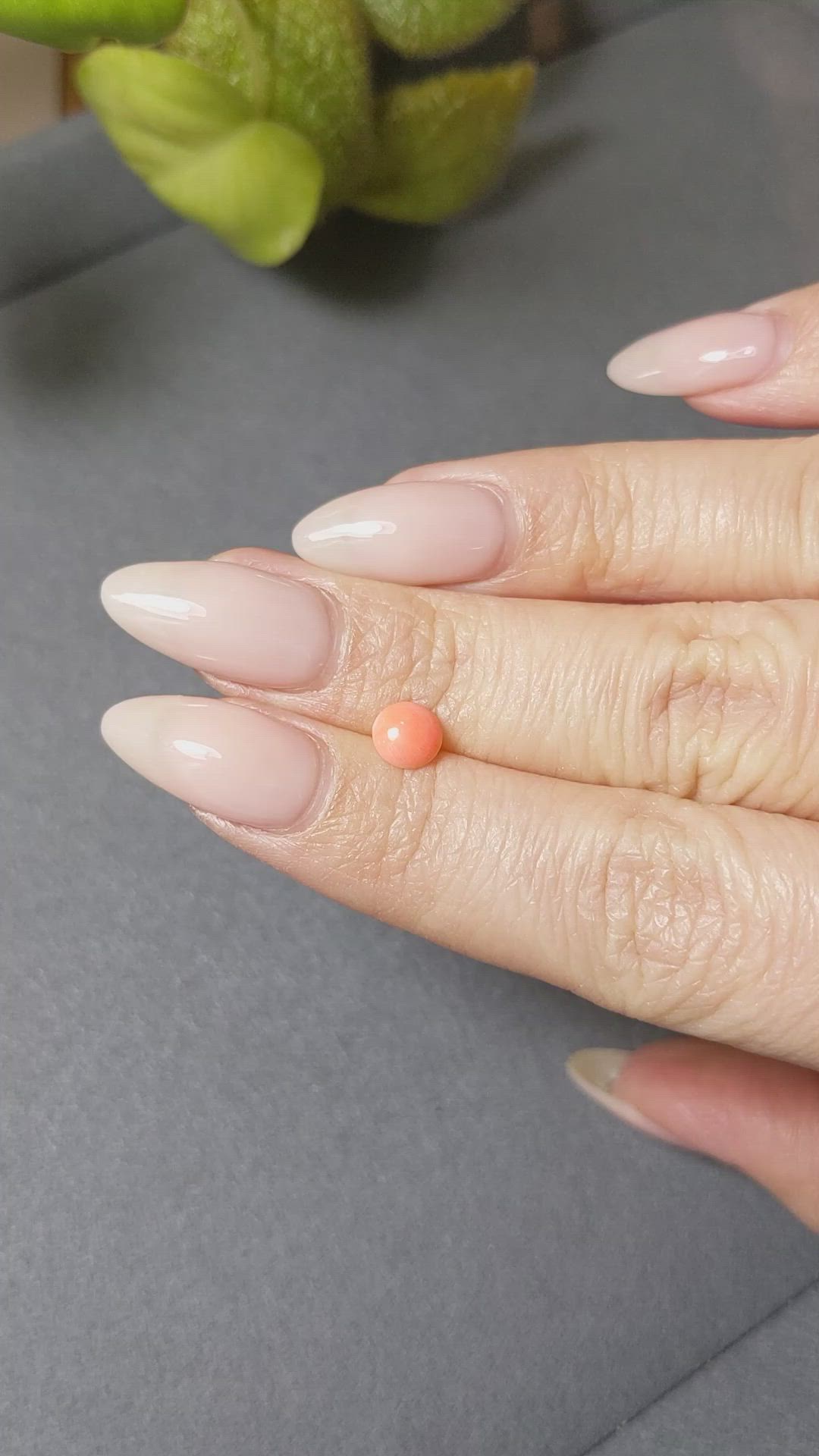 0.53 Ct. Cabochon Coral from Italy Size Video