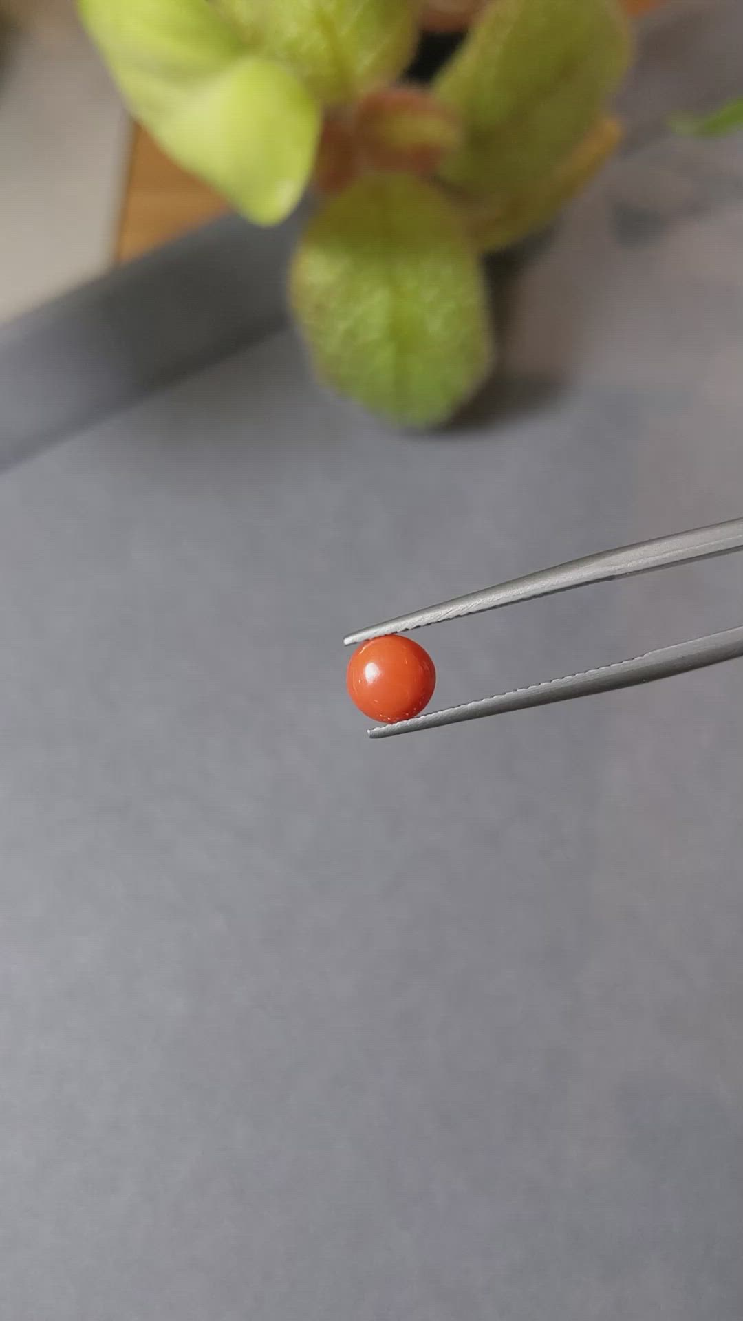 0.78 Ct. Cabochon Coral from Italy Size Video