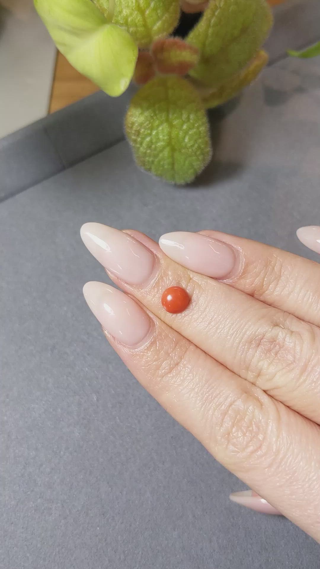 0.78 Ct. Cabochon Coral from Italy Size Video