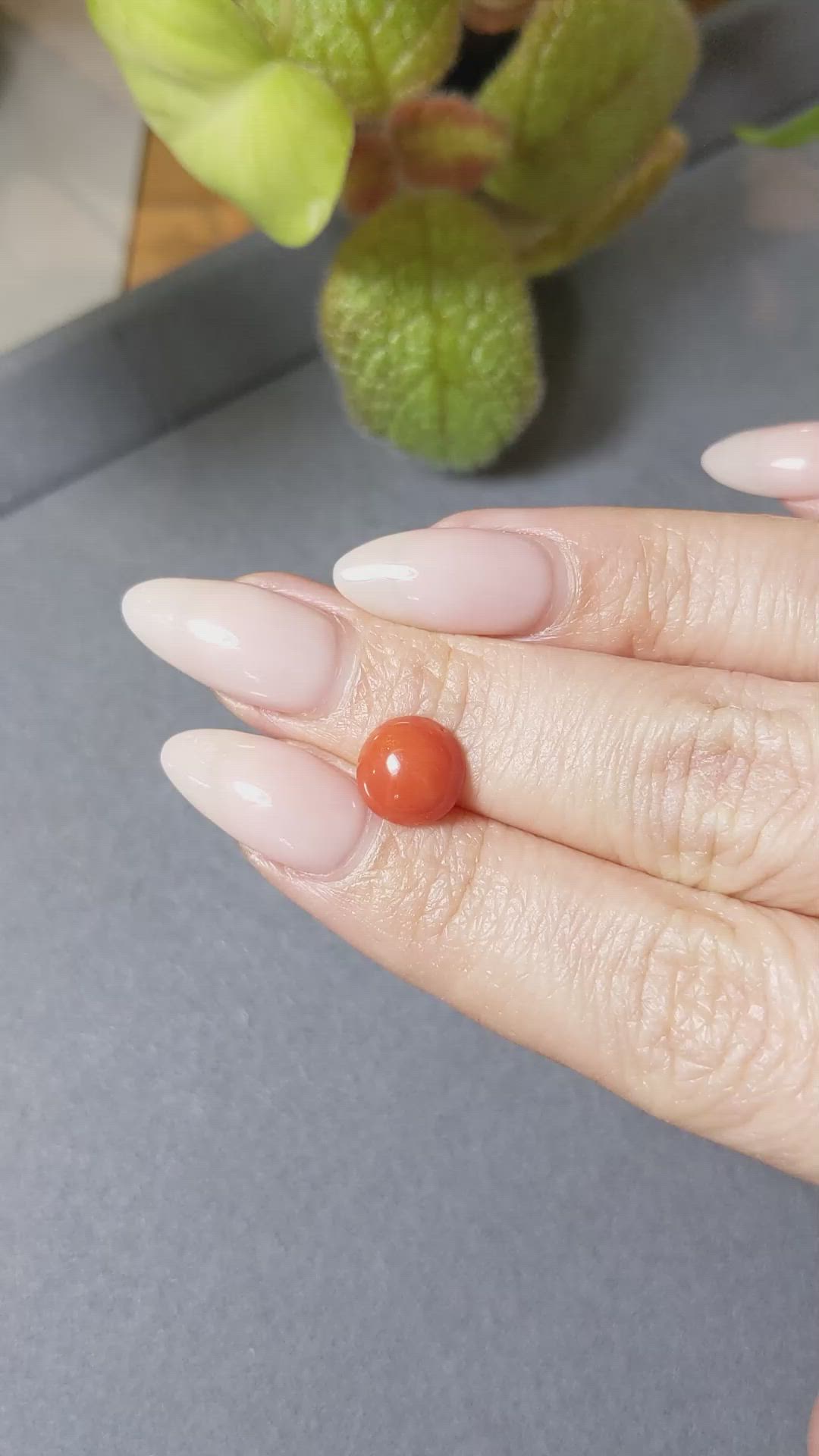 2.18 Ct. Cabochon Coral from Italy Size Video