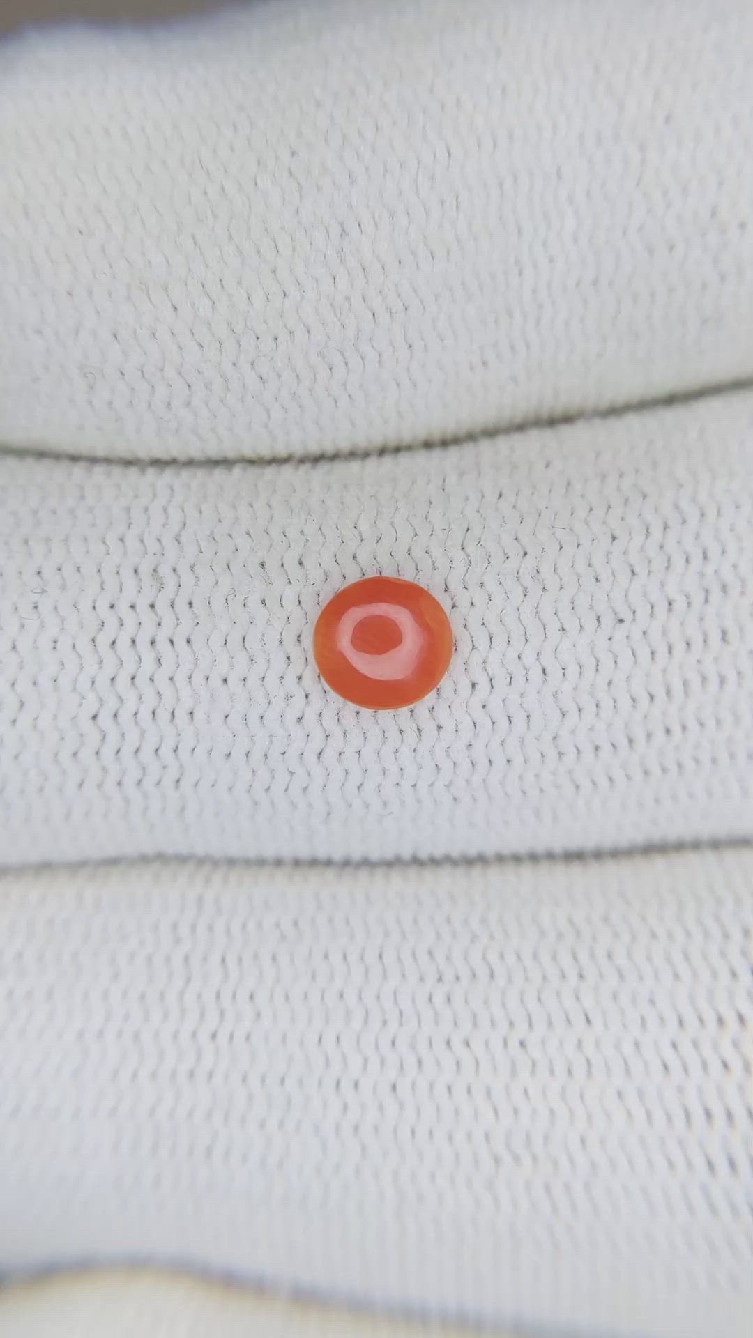 0.24 Ct. Cabochon Coral from Italy Size Video