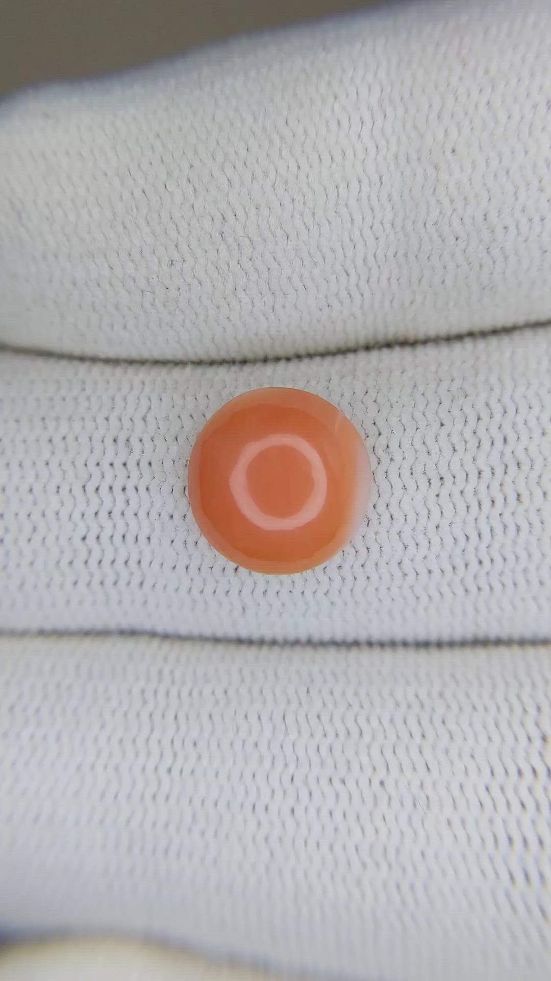 2.29 Ct. Cabochon Coral from Italy Size Video