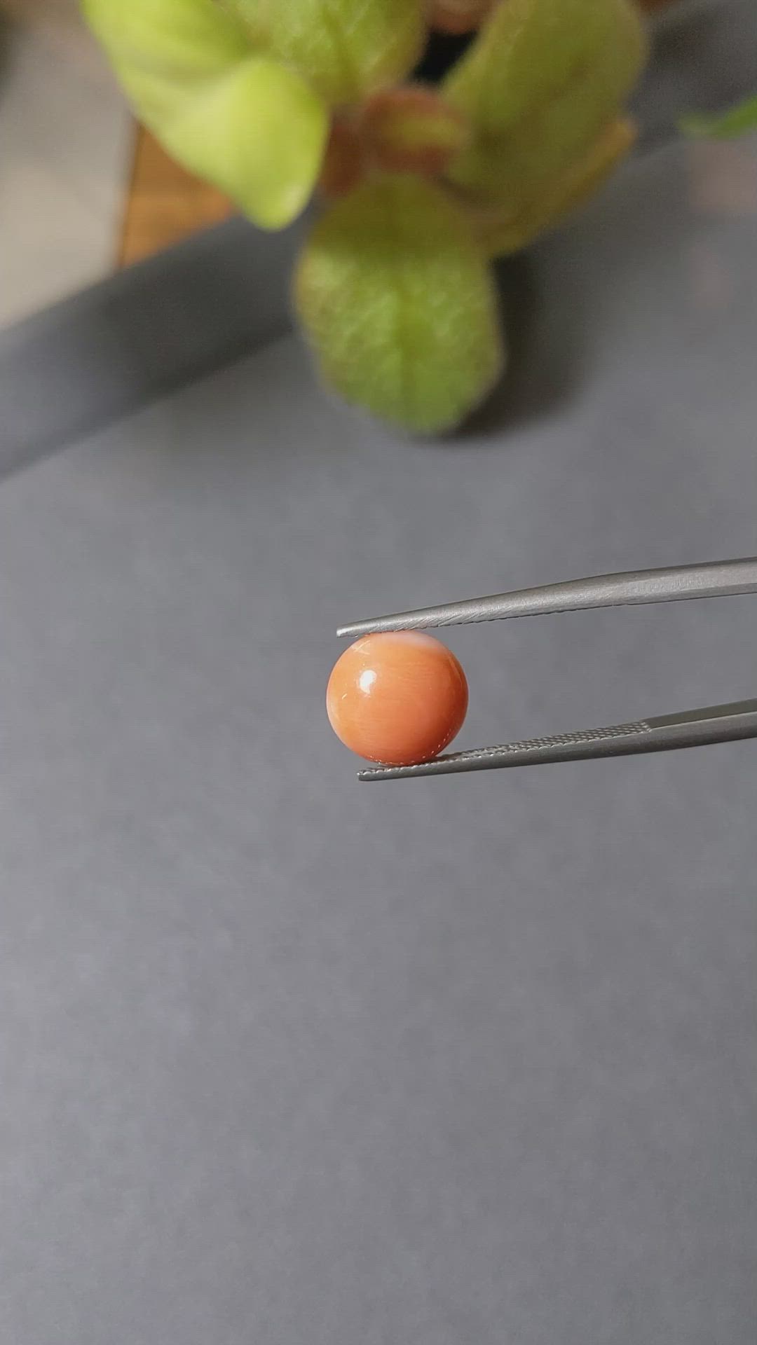 2.29 Ct. Cabochon Coral from Italy Size Video