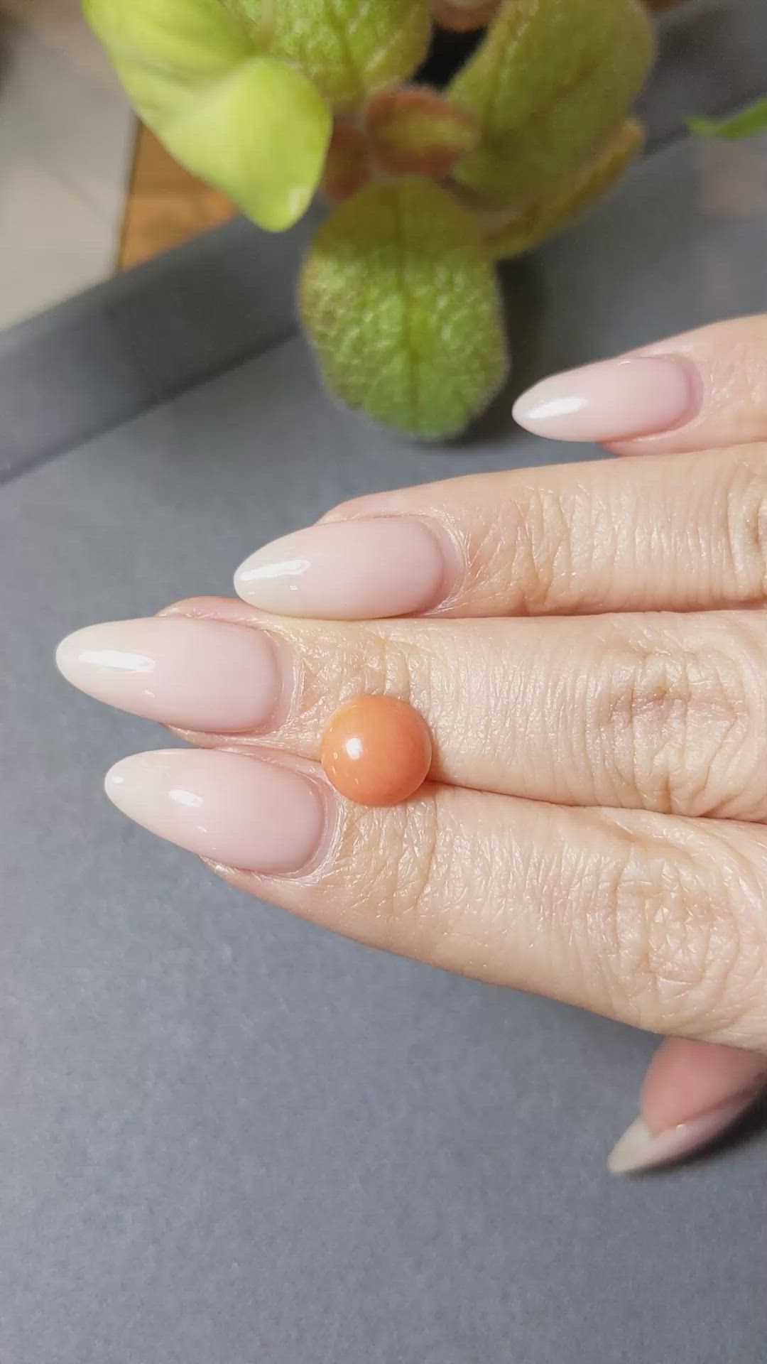 2.29 Ct. Cabochon Coral from Italy Size Video