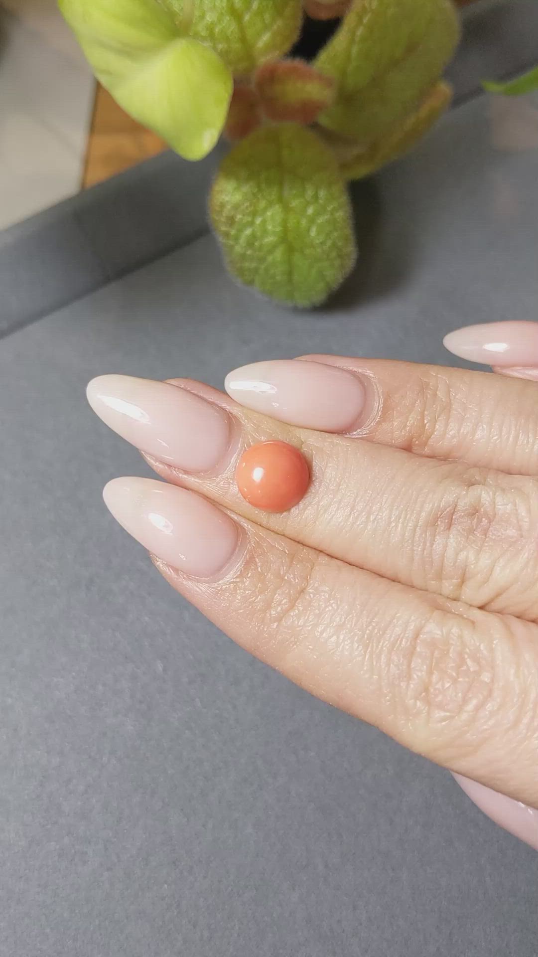 1.99 Ct. Cabochon Coral from Italy Size Video