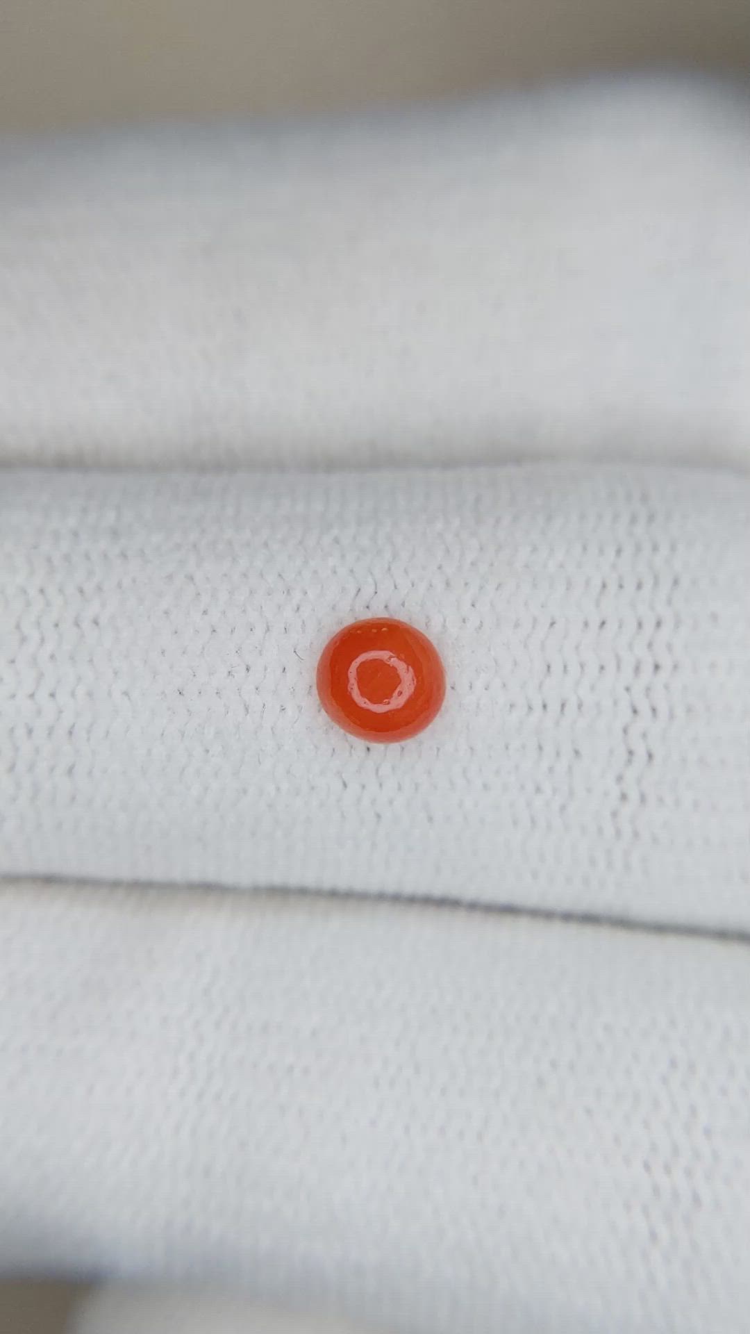 0.24 Ct. Cabochon Coral from Italy Size Video
