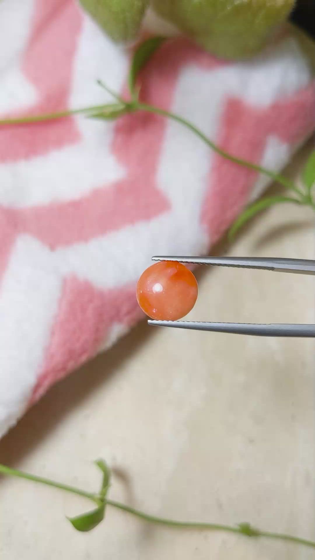 2.06 Ct. Cabochon Coral from Italy Size Video