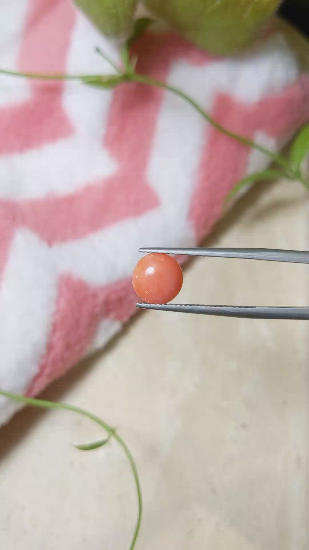 1.43 Ct. Cabochon Coral from Italy Size Video