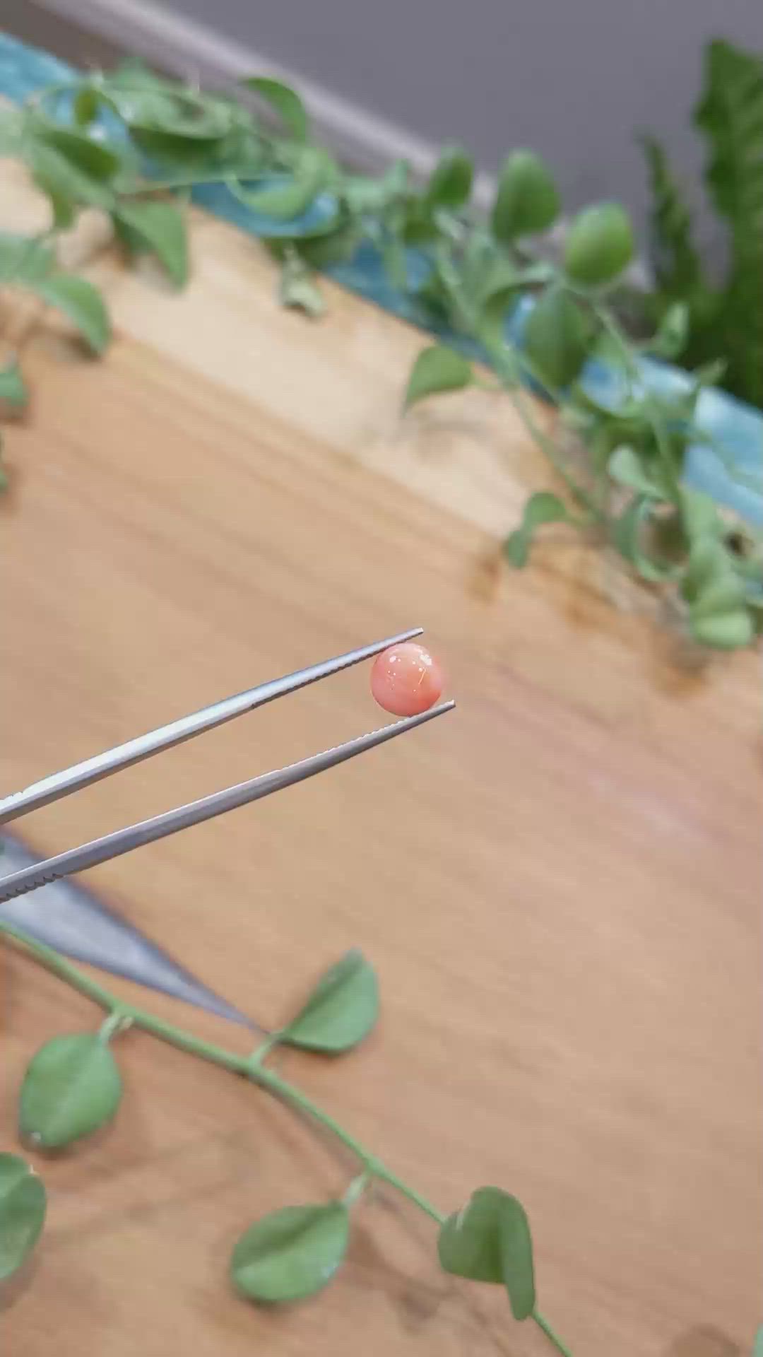 1.31 Ct. Cabochon Coral from Italy Size Video