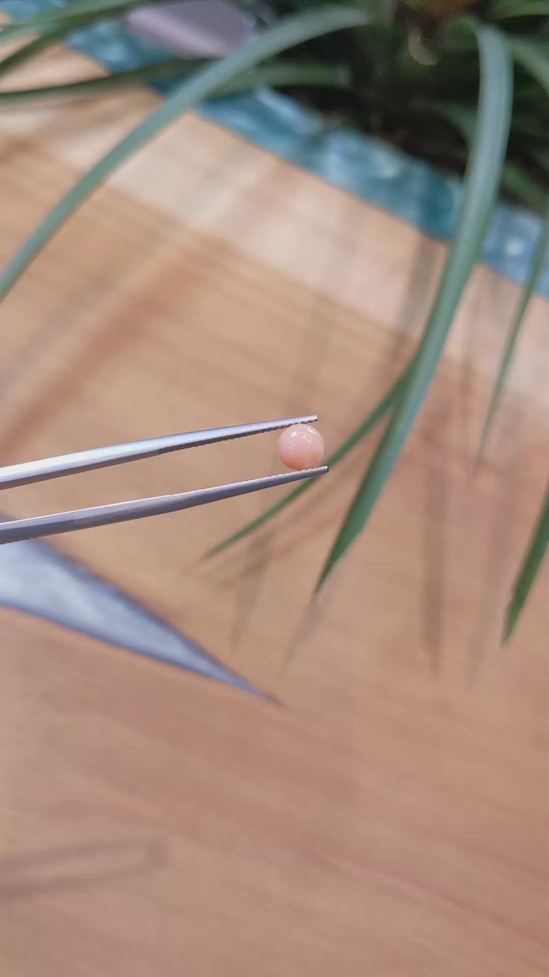 0.73 Ct. Cabochon Coral from Italy Size Video