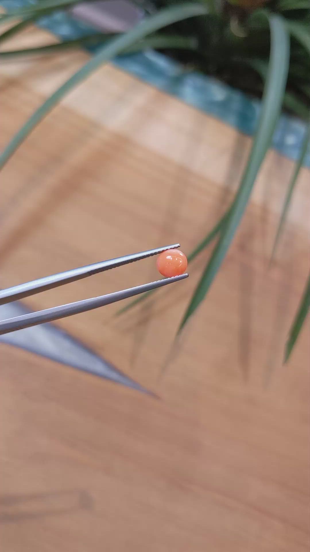 0.57 Ct. Cabochon Coral from Italy Size Video