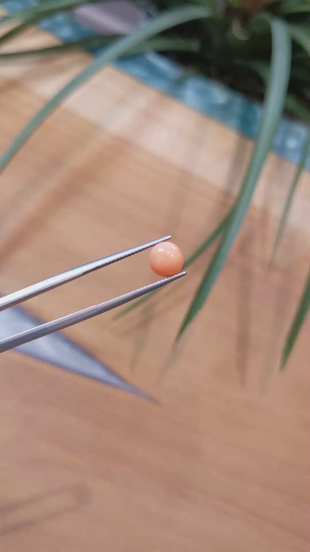 1.58 Ct. Cabochon Coral from Italy Size Video