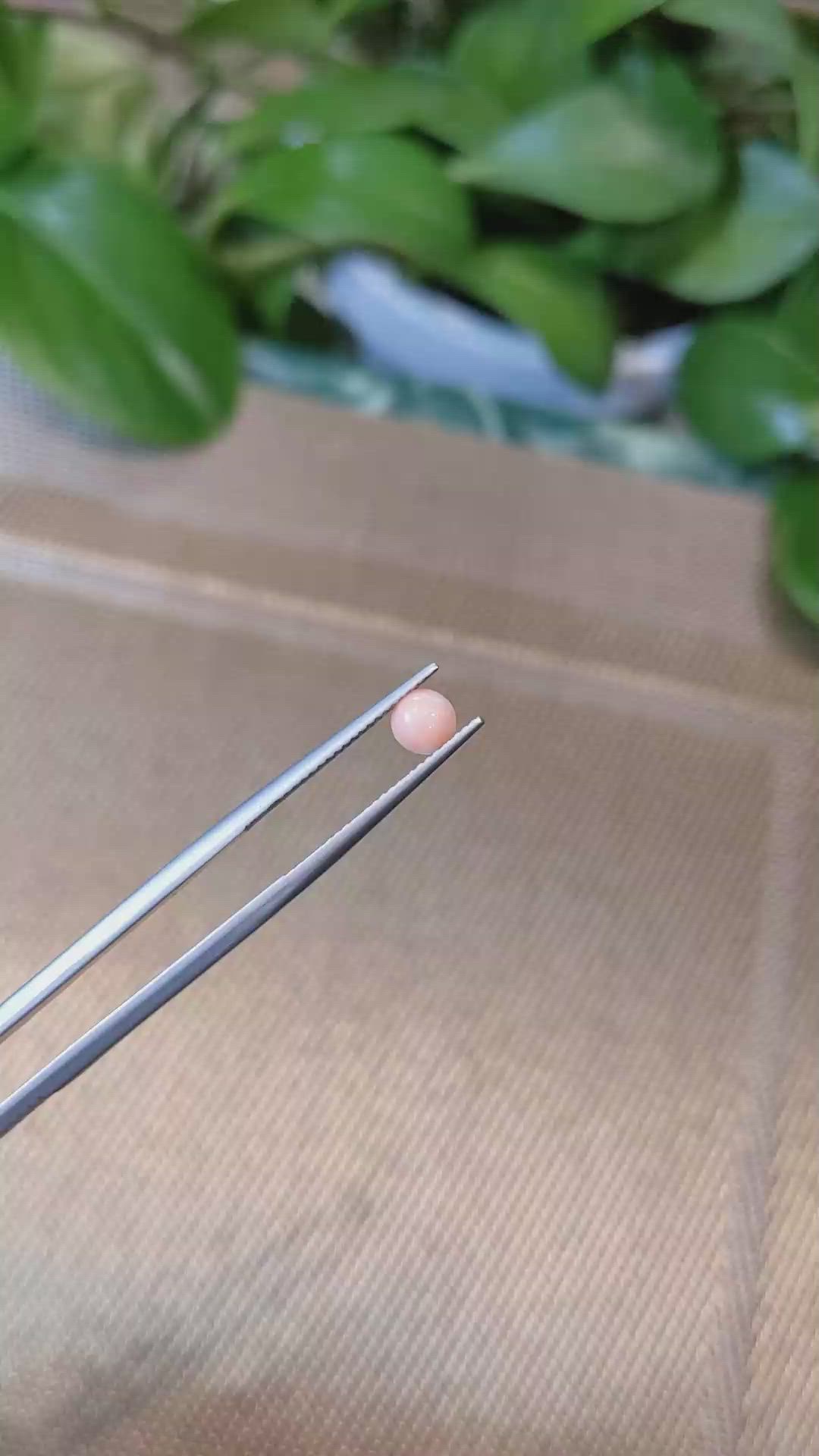 0.38 Ct. Cabochon Coral from Italy Size Video