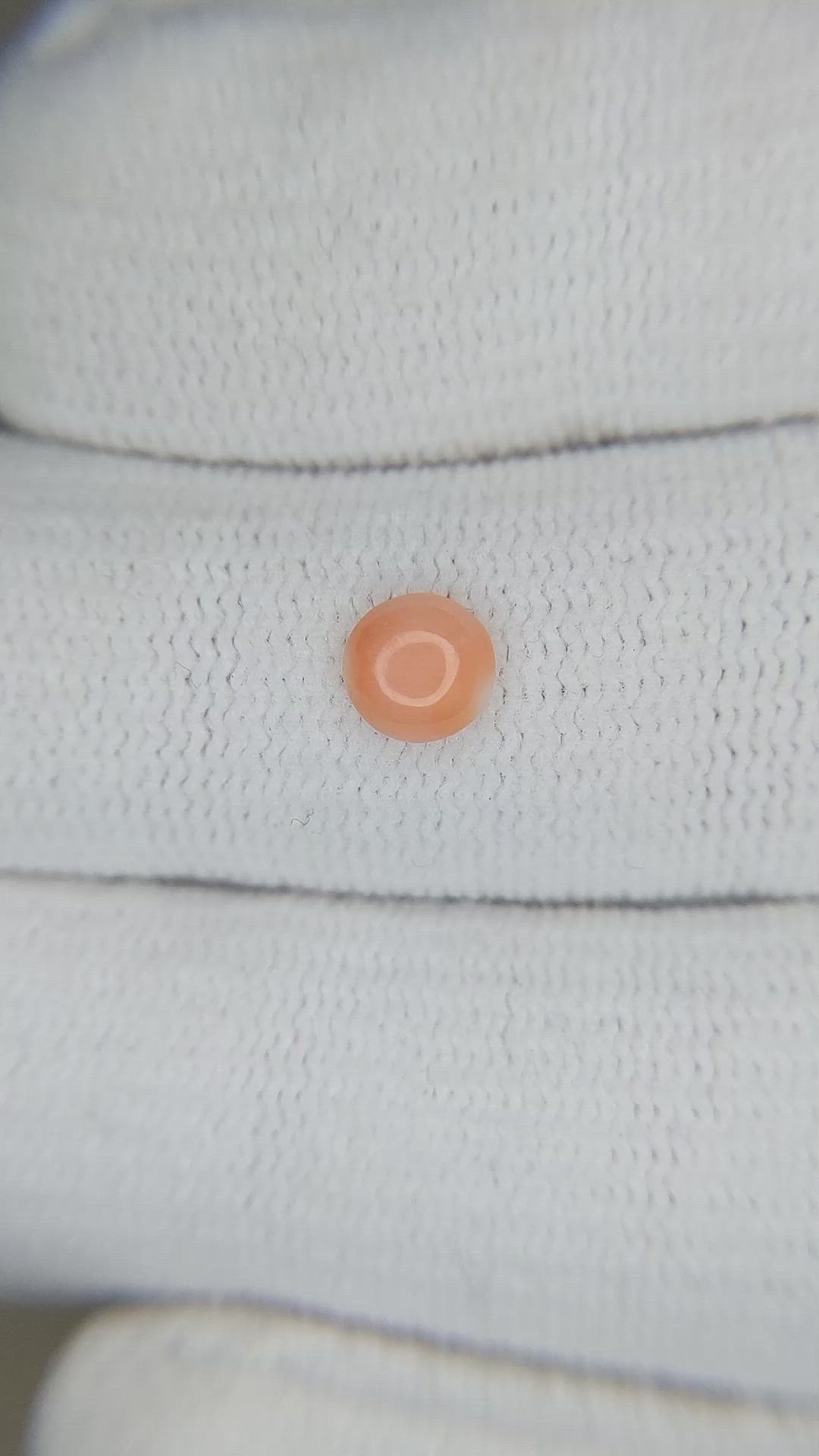 0.38 Ct. Cabochon Coral from Italy Size Video