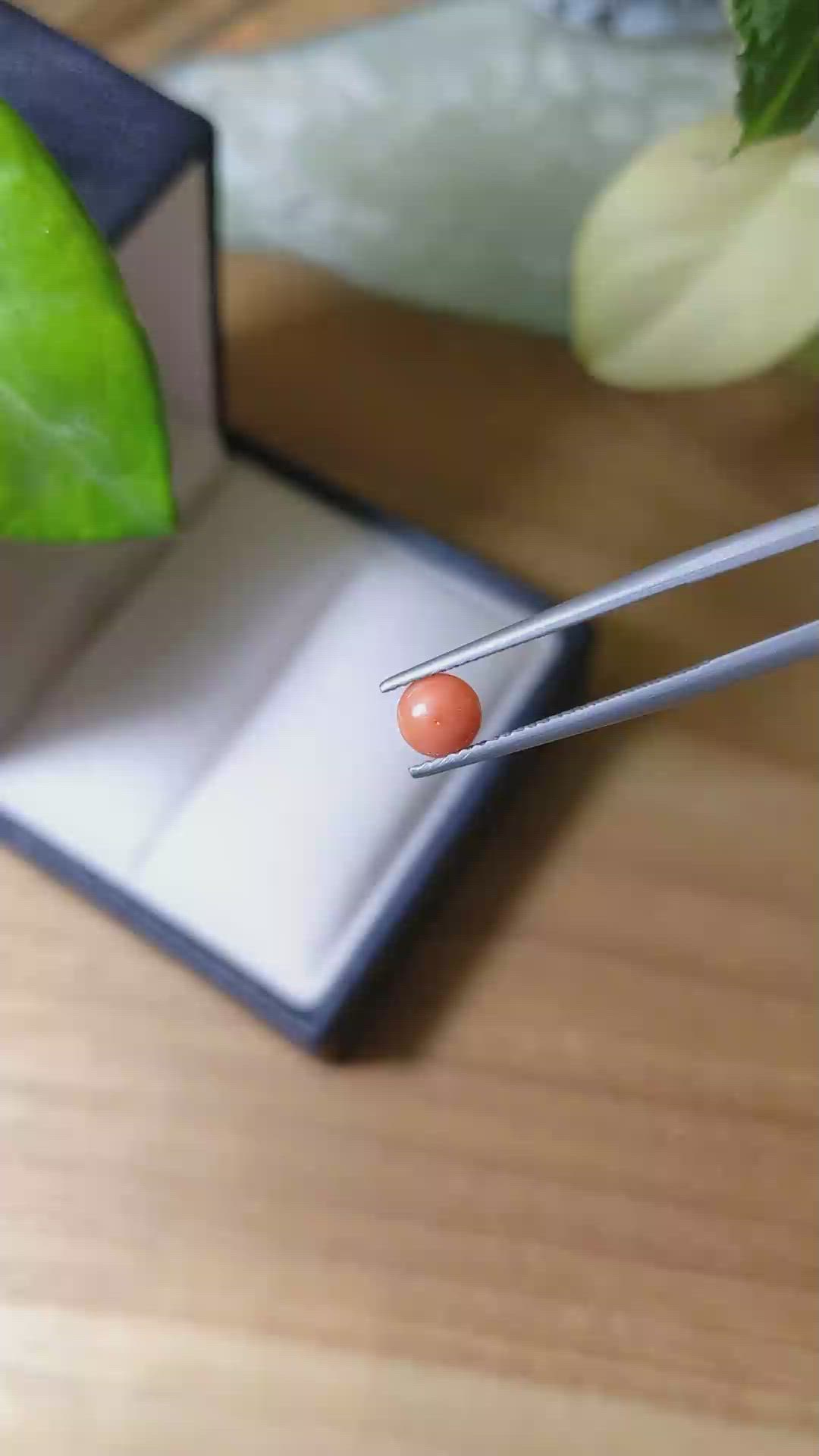 0.43 Ct. Cabochon Coral from Italy Size Video