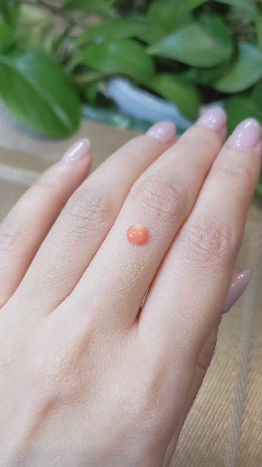 0.40 Ct. Cabochon Coral from Italy Size Video
