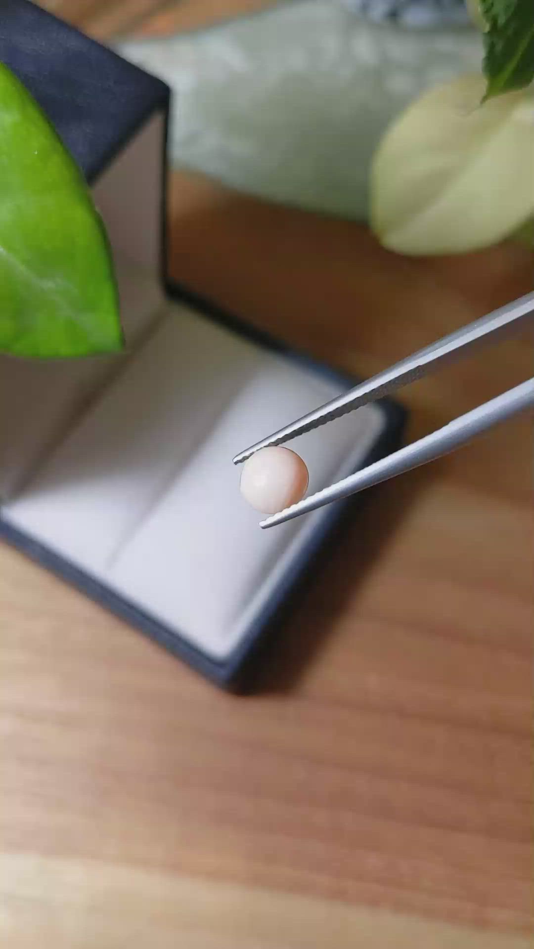 1.07 Ct. Cabochon Coral from Italy Size Video