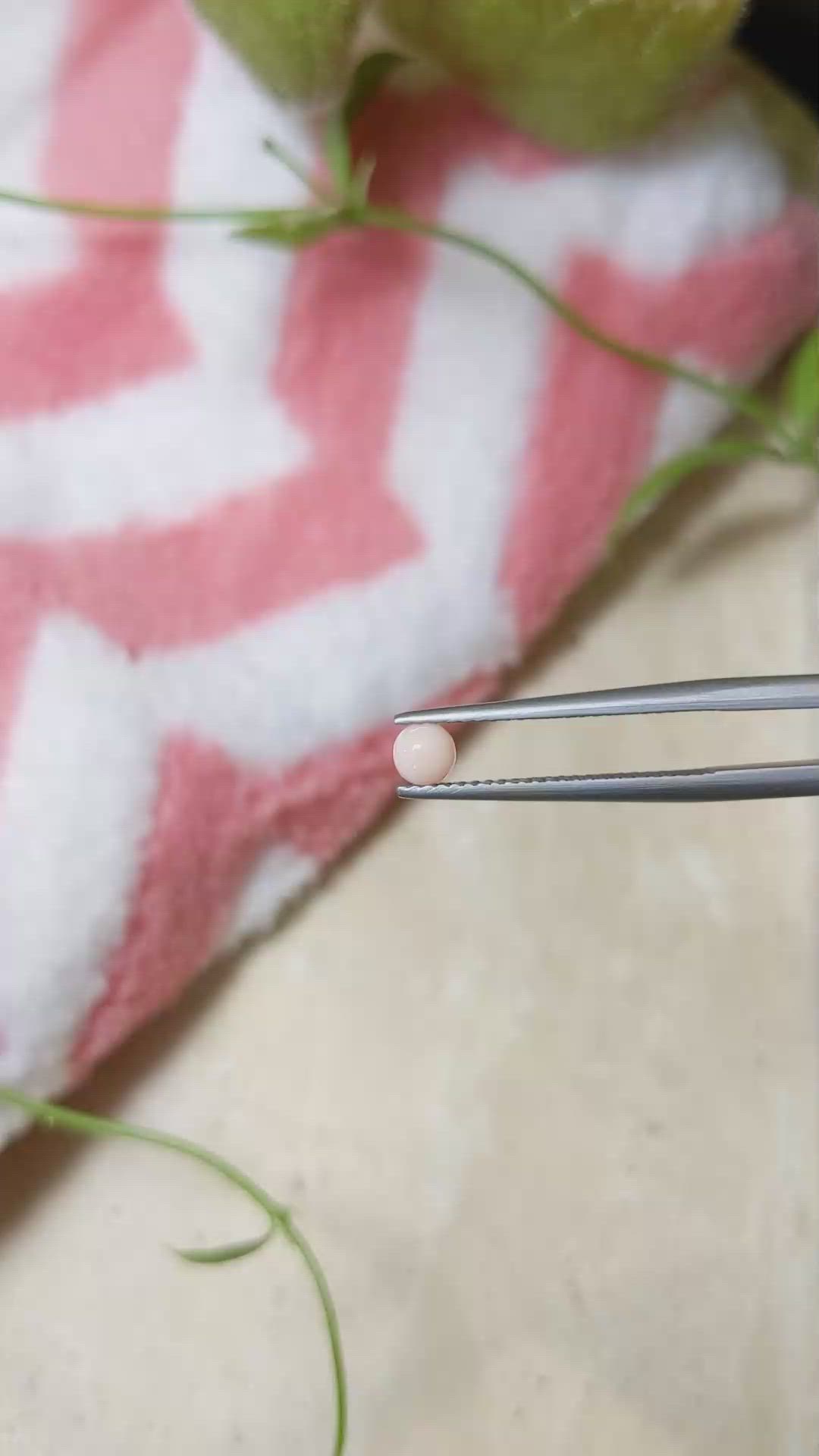 0.24 Ct. Cabochon Coral from Italy Size Video