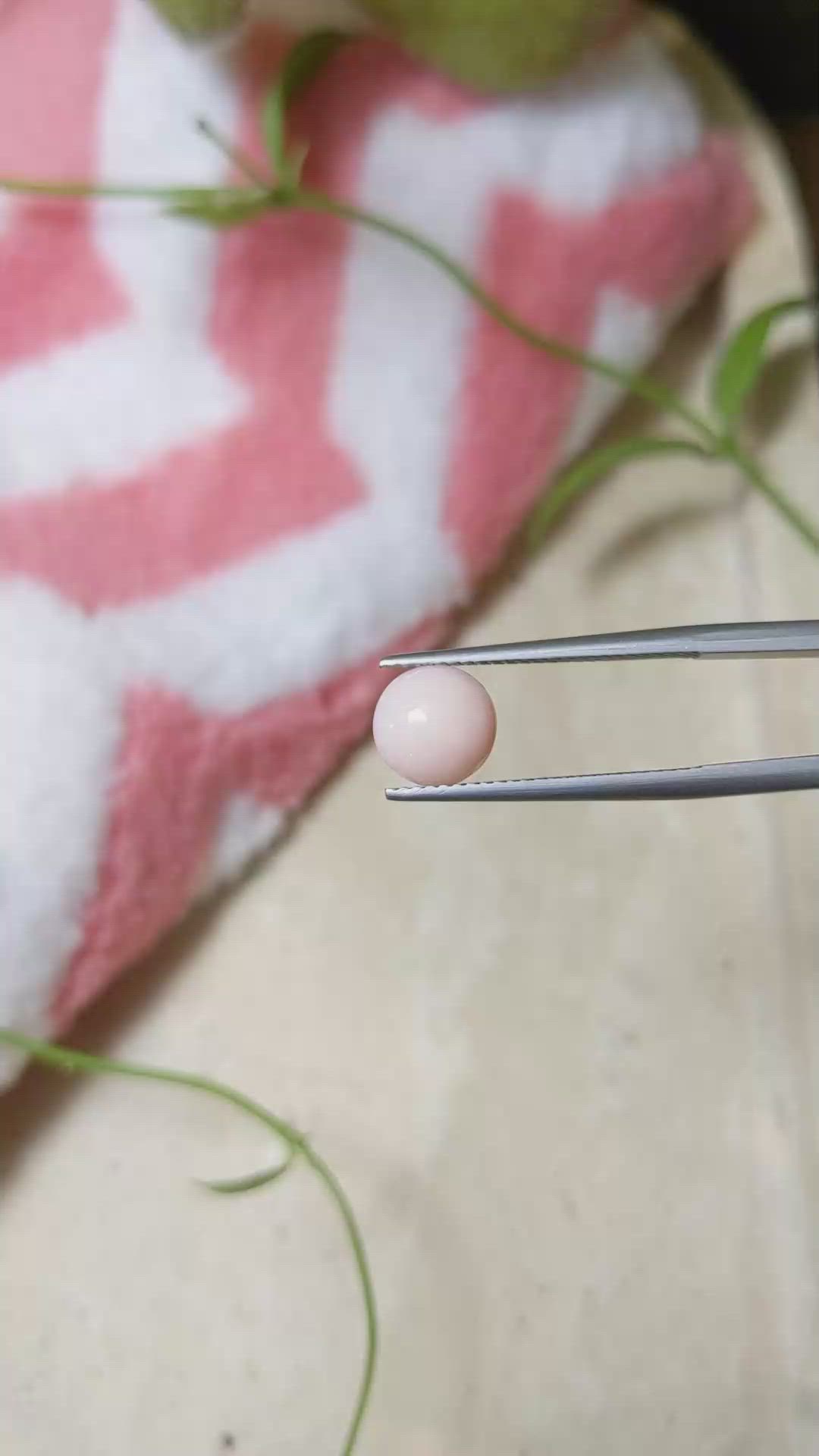 1.44 Ct. Cabochon Coral from Italy Size Video