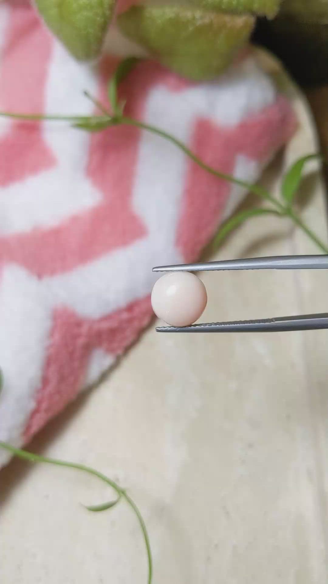 2.70 Ct. Cabochon Coral from Italy Size Video