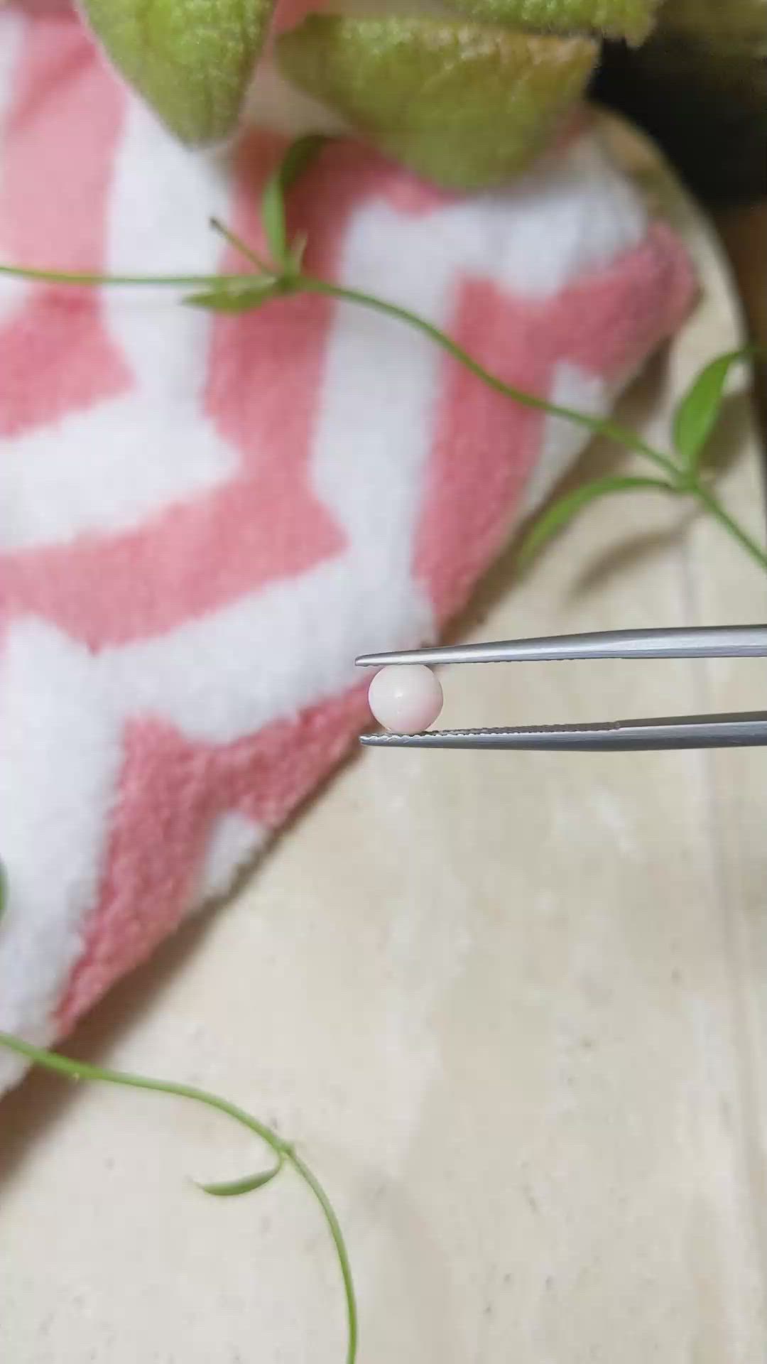 0.66 Ct. Cabochon Coral from Italy Size Video