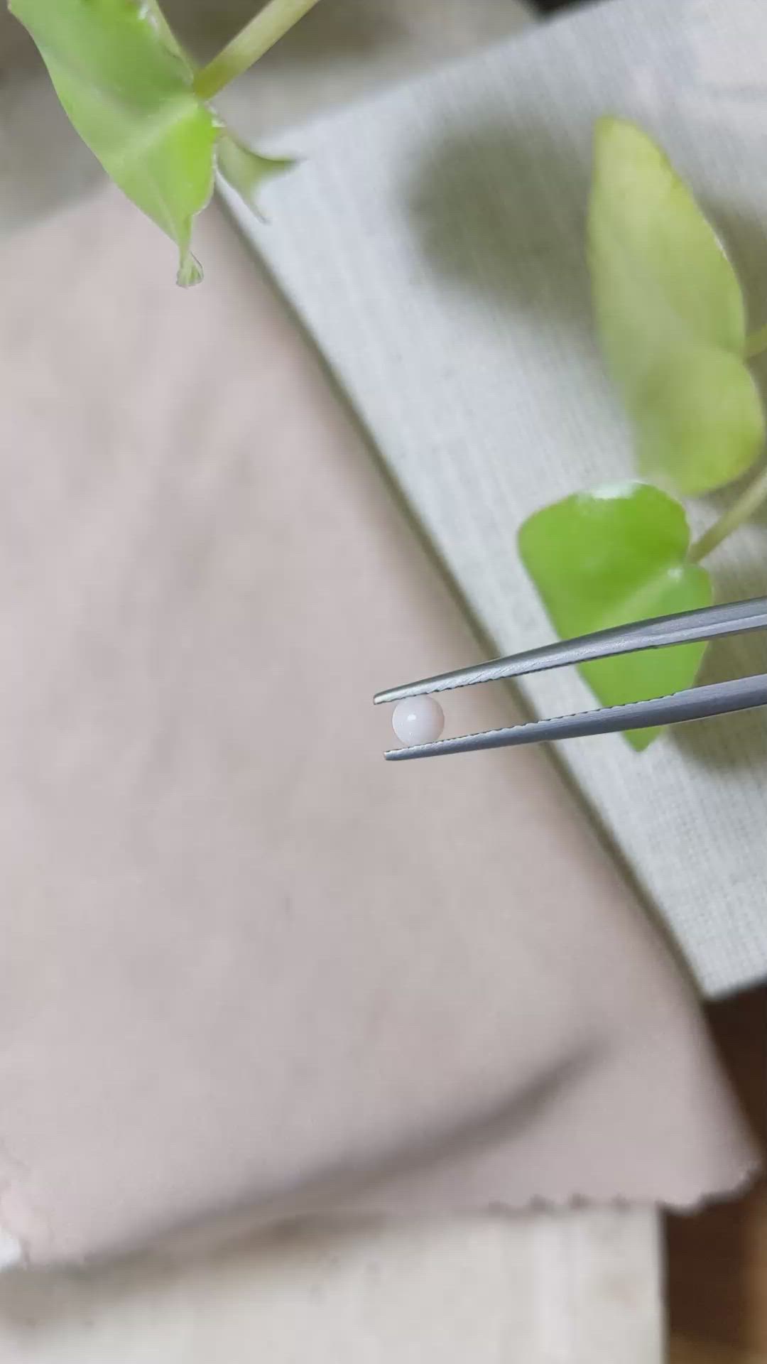 0.15 Ct. Cabochon Coral from Italy Size Video