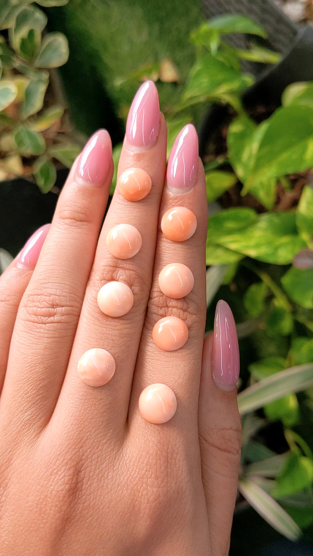 21.37 Ct. Cabochon Coral from Italy Size Video