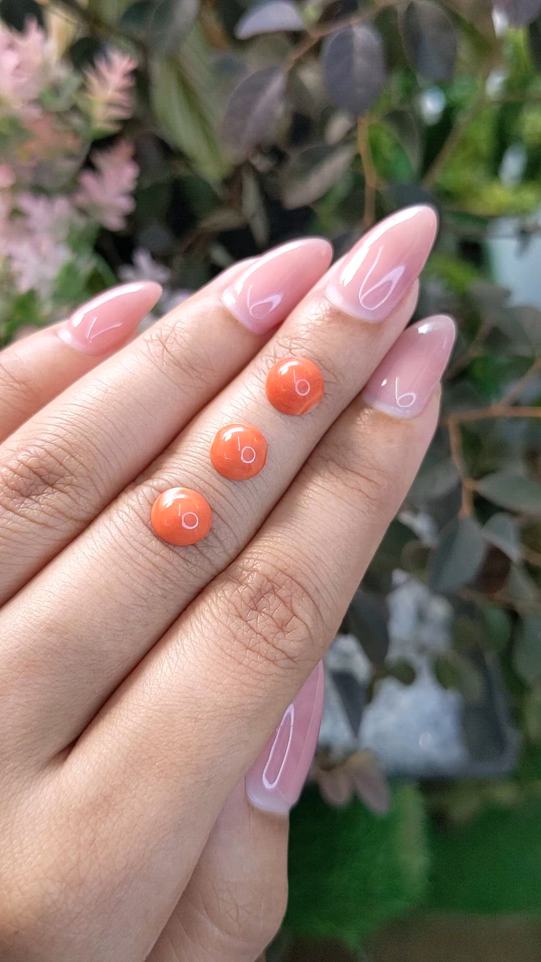 3.92 Ct. Cabochon Coral from Italy Size Video