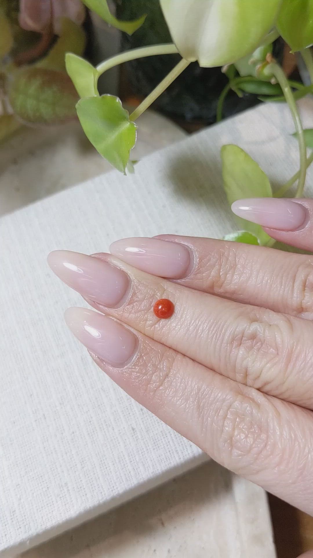 0.32 Ct. Cabochon Coral from Italy Size Video